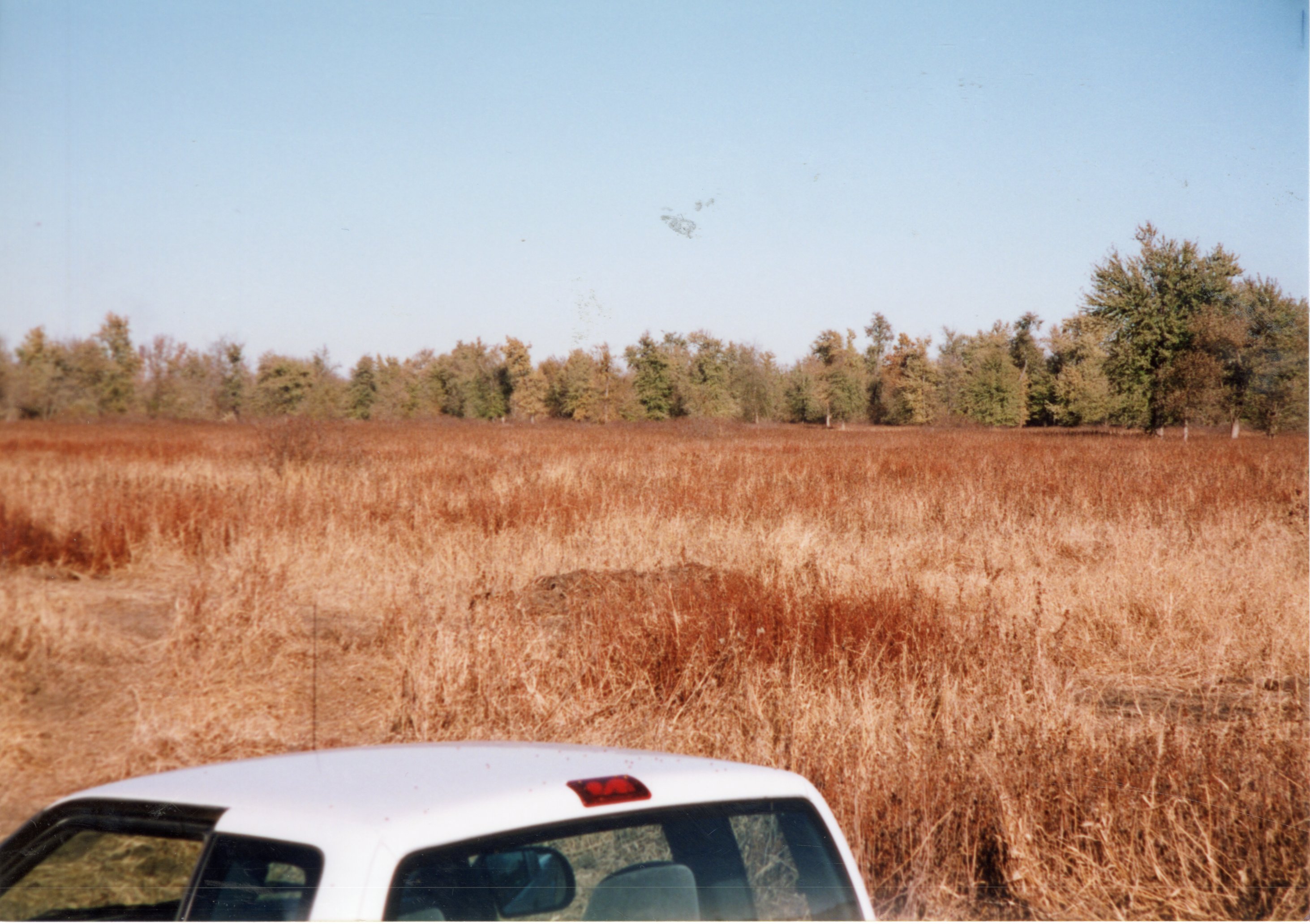 2002  A field with trees on the edge before a wetland Construction at Brockway LLLP