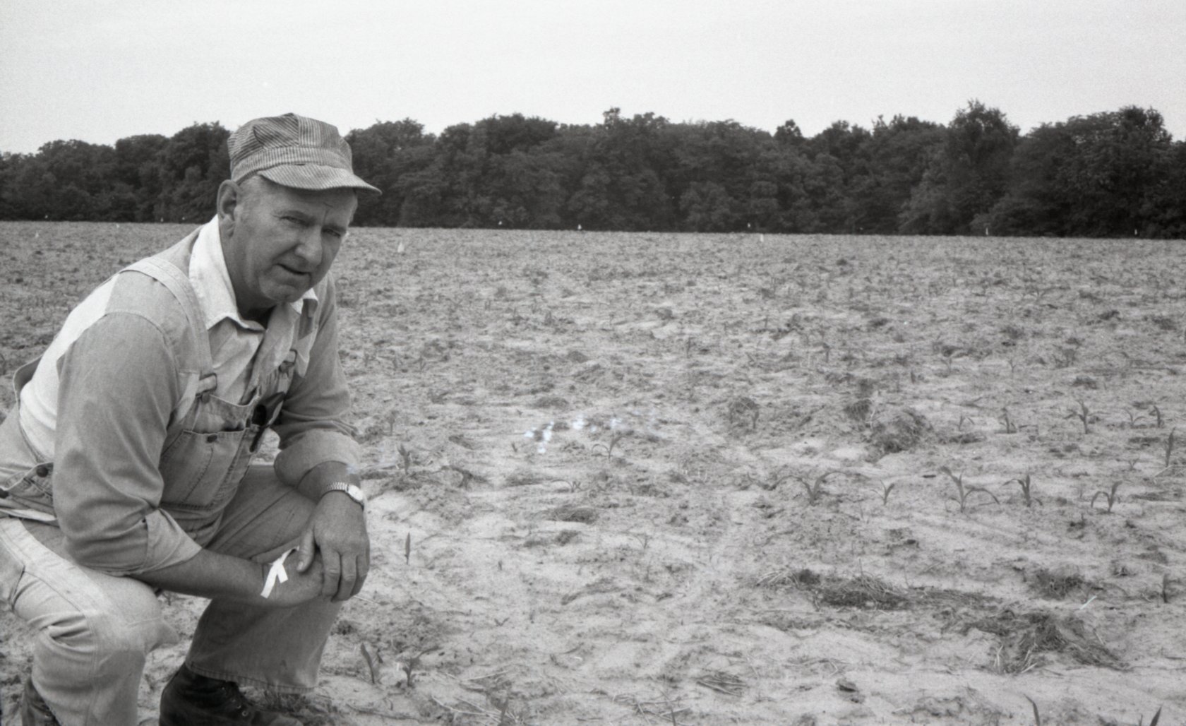 Unidentified farmer in parched field
