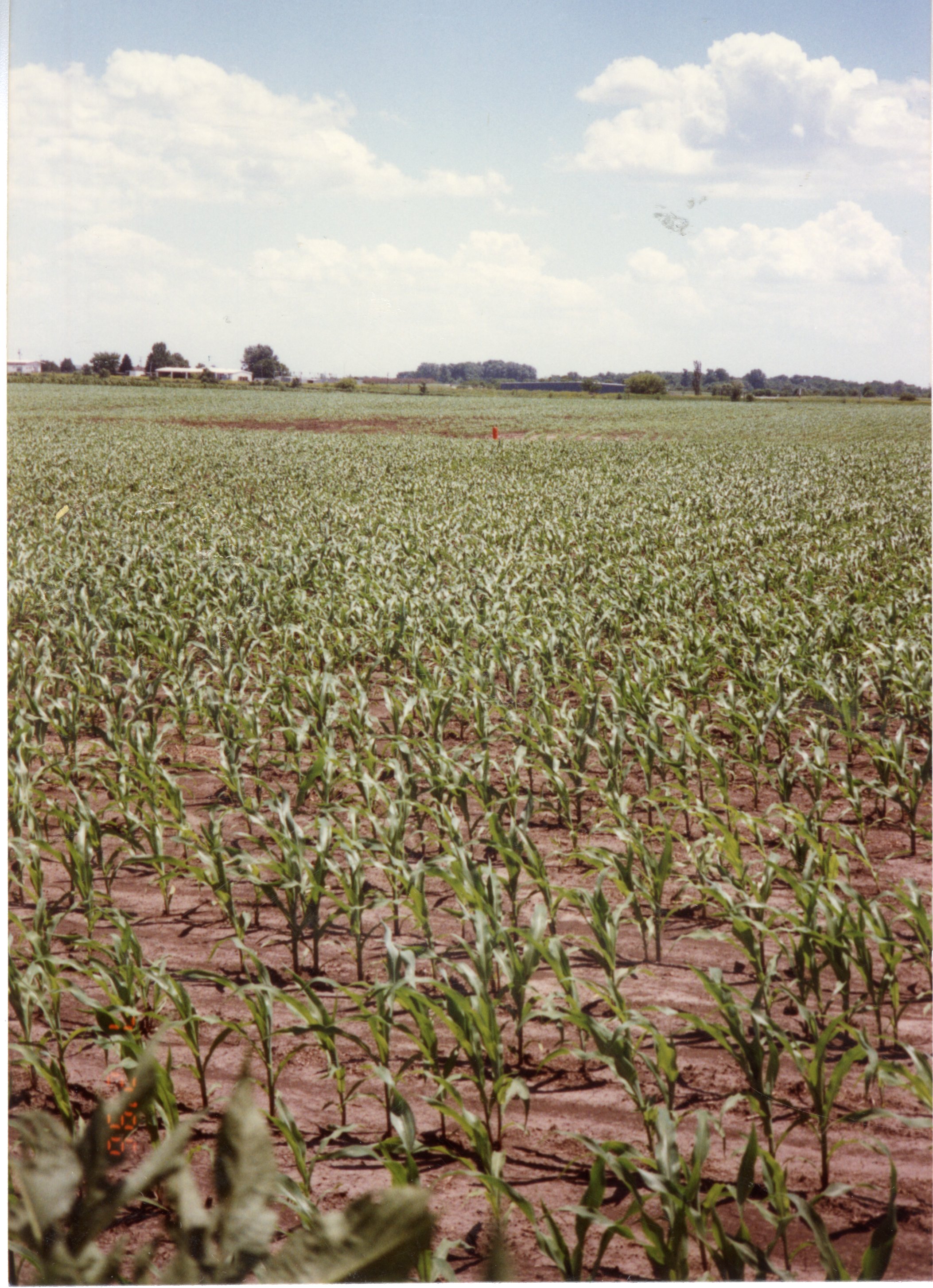 1996 Terraces built by Marvin Lange