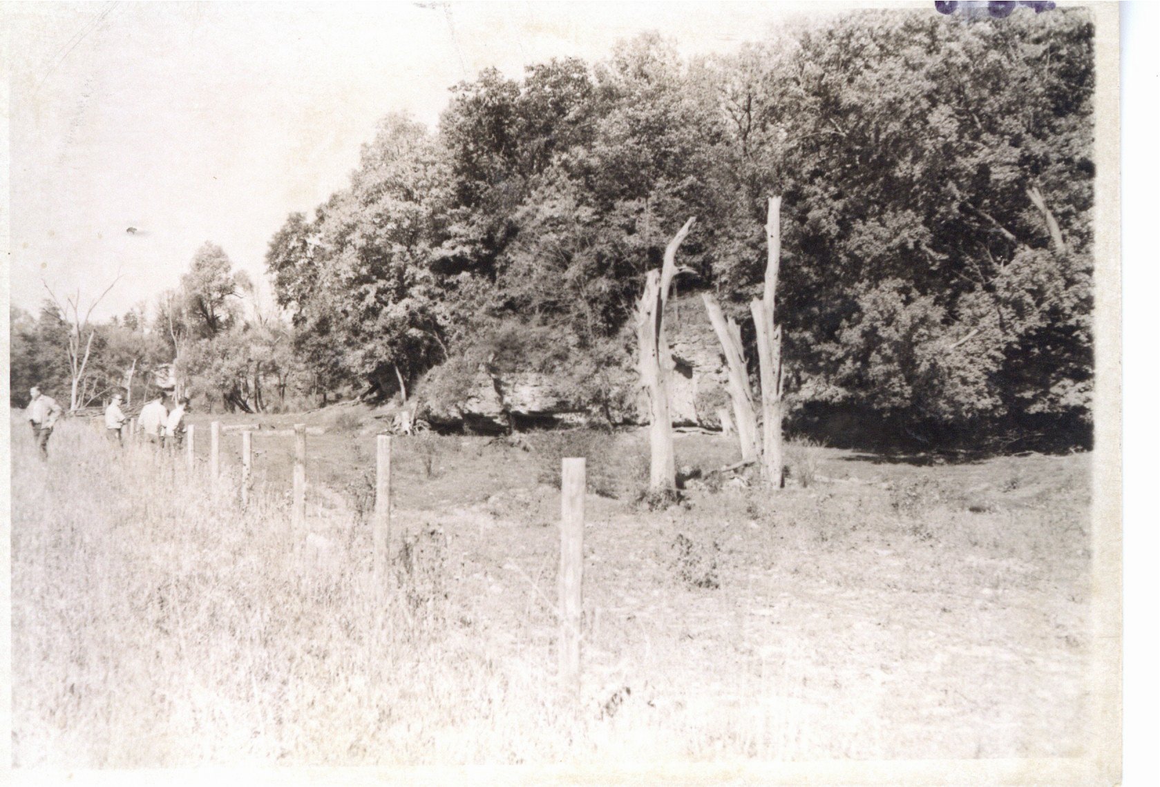 Below Tom Nielsen's trout pond, 1970