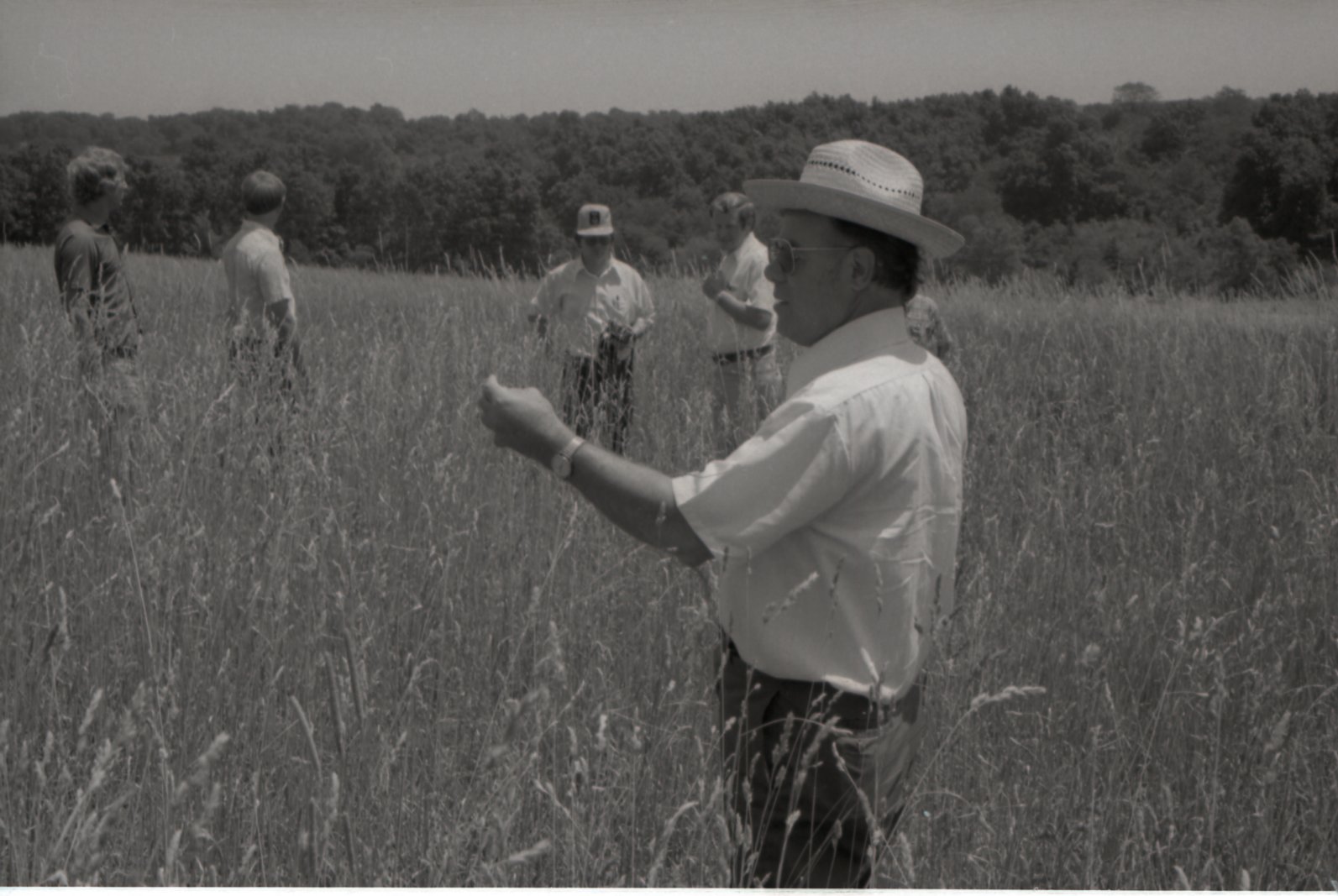 1970's Group of men in tall grass