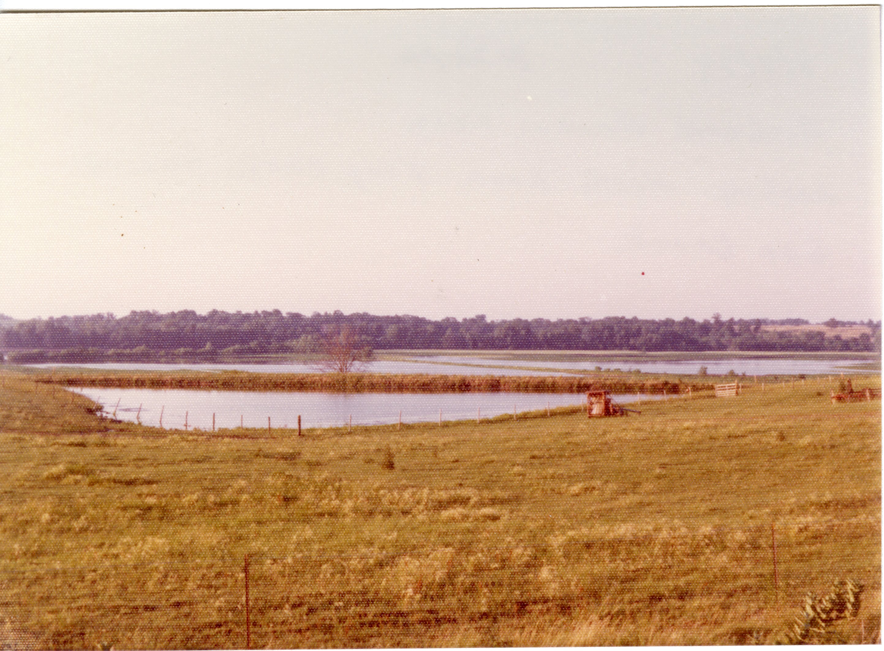 Ponds on Pasture Land