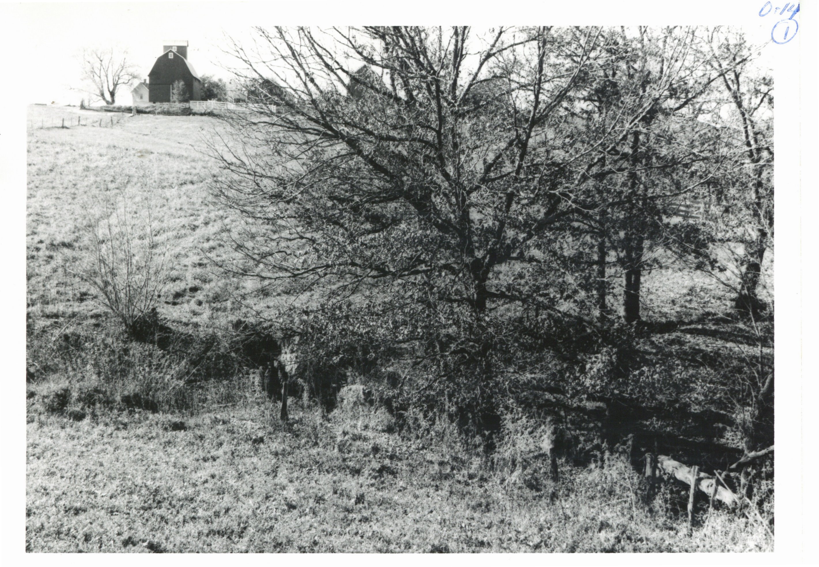 Hartung Bros. land before pond construction, 1965