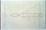 Delta Wing Collins Drone
