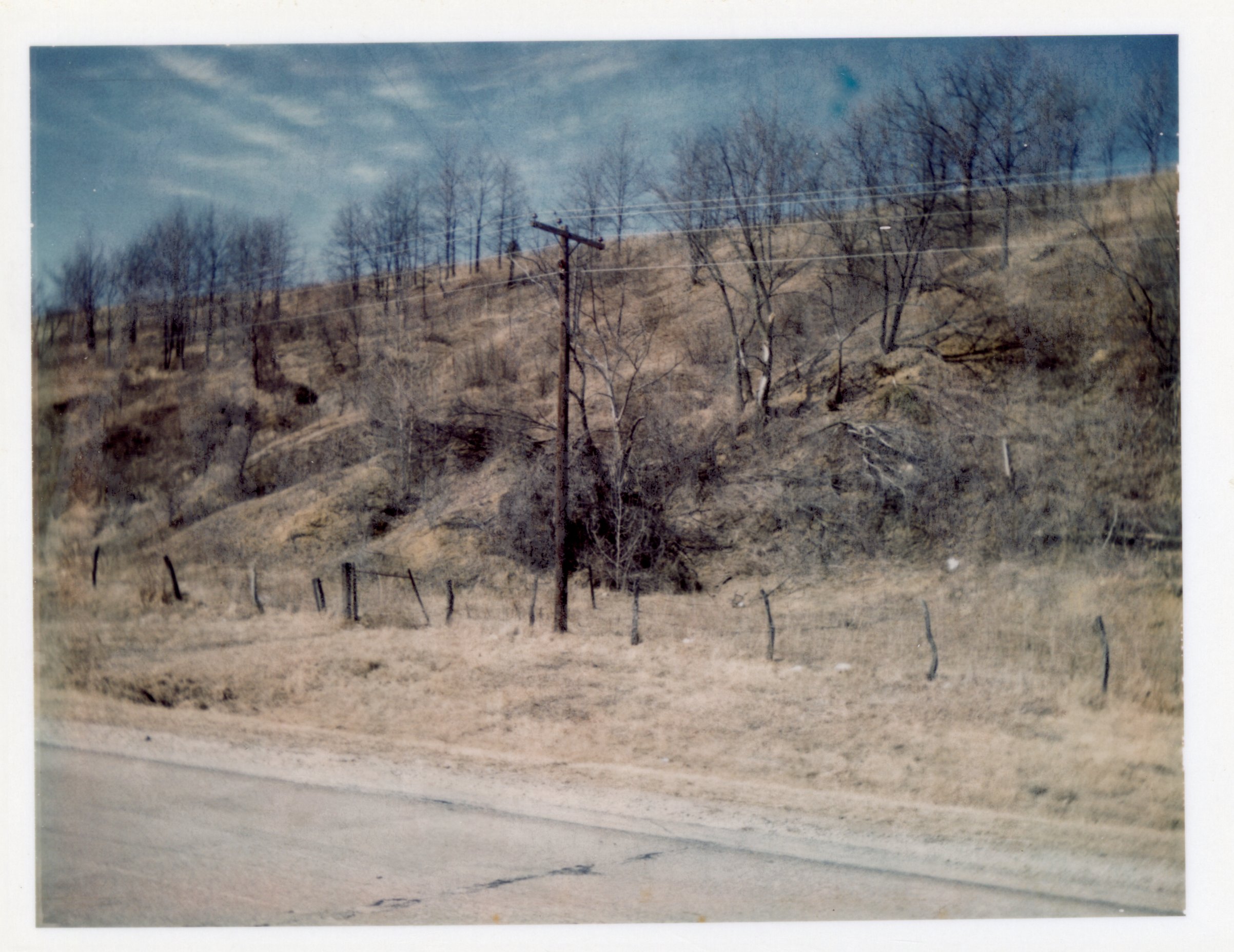 Small trees grow on hill by road