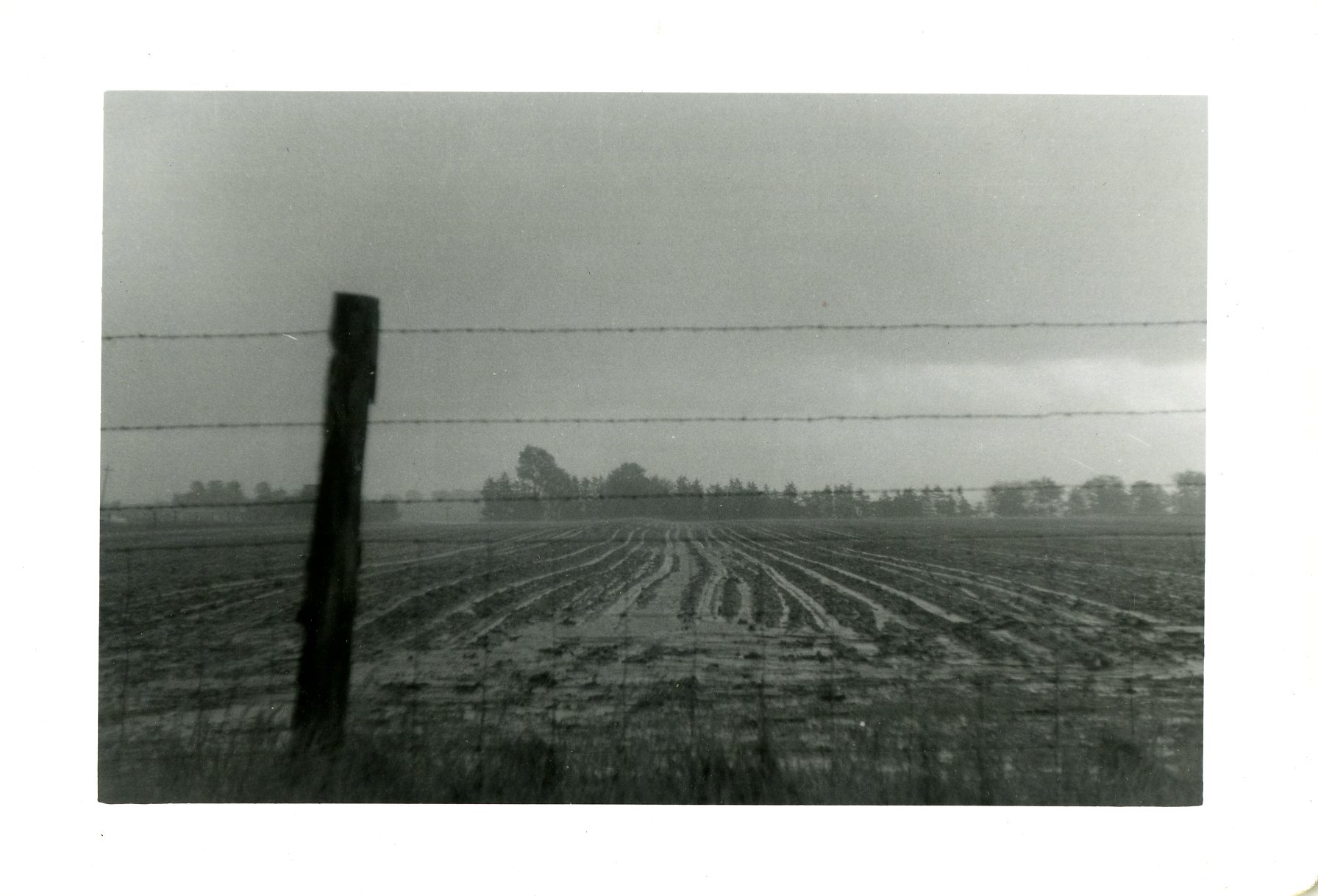 Standing water in crop rows, 1959