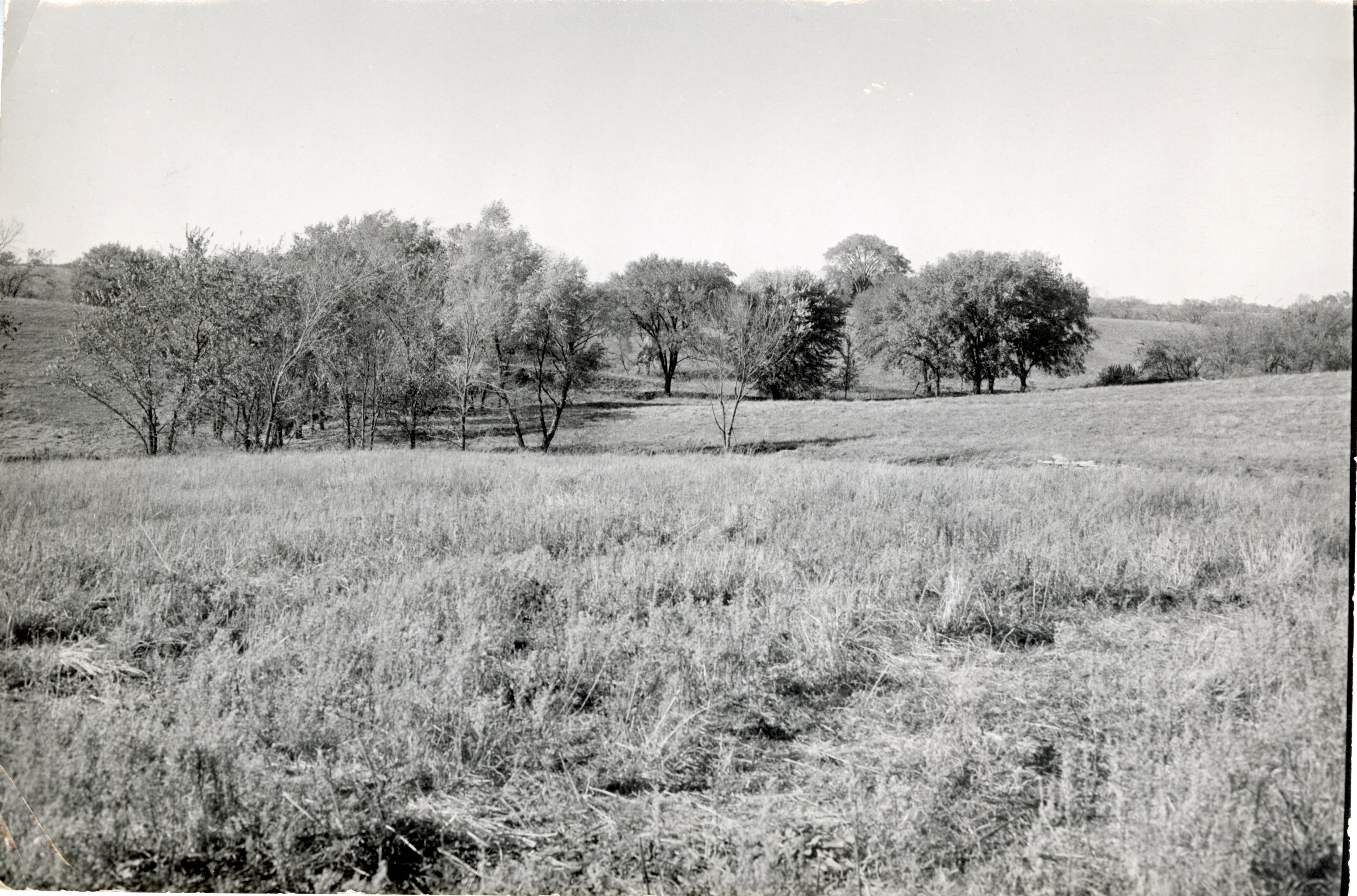 Unidentified Field in Bloomfield Township