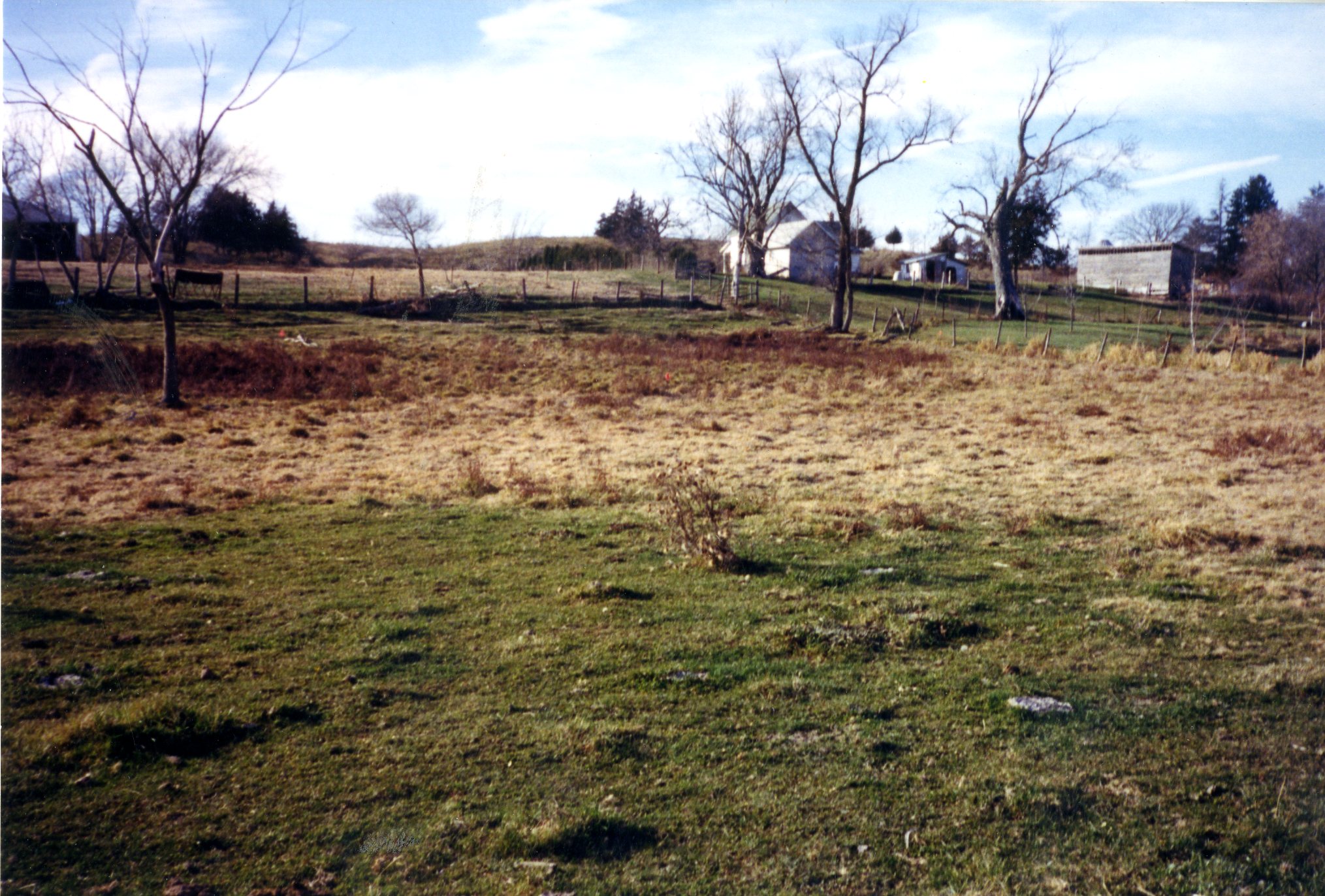 Dennis Streets pasture land, 1999
