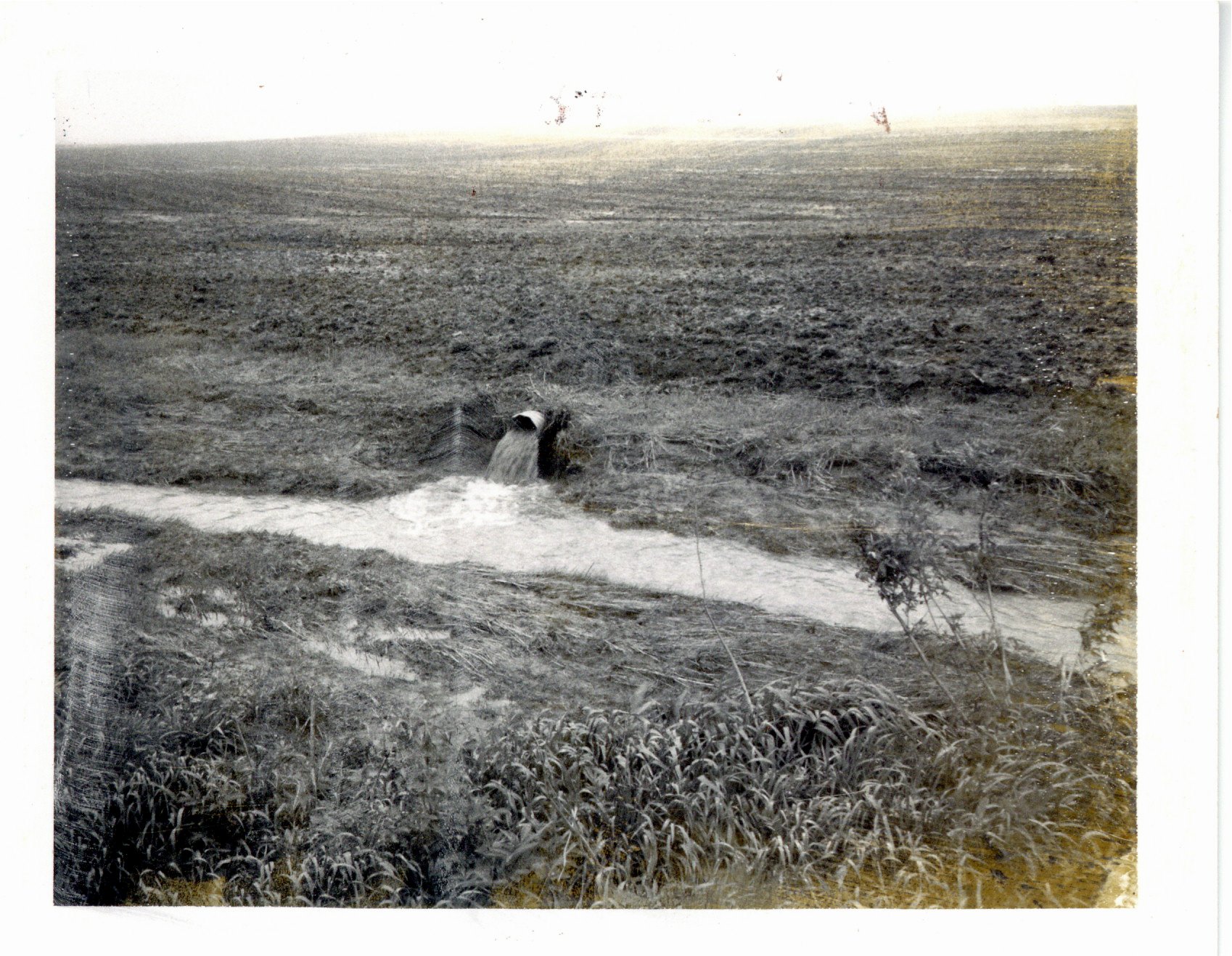 TOT on Havran farm, 1974