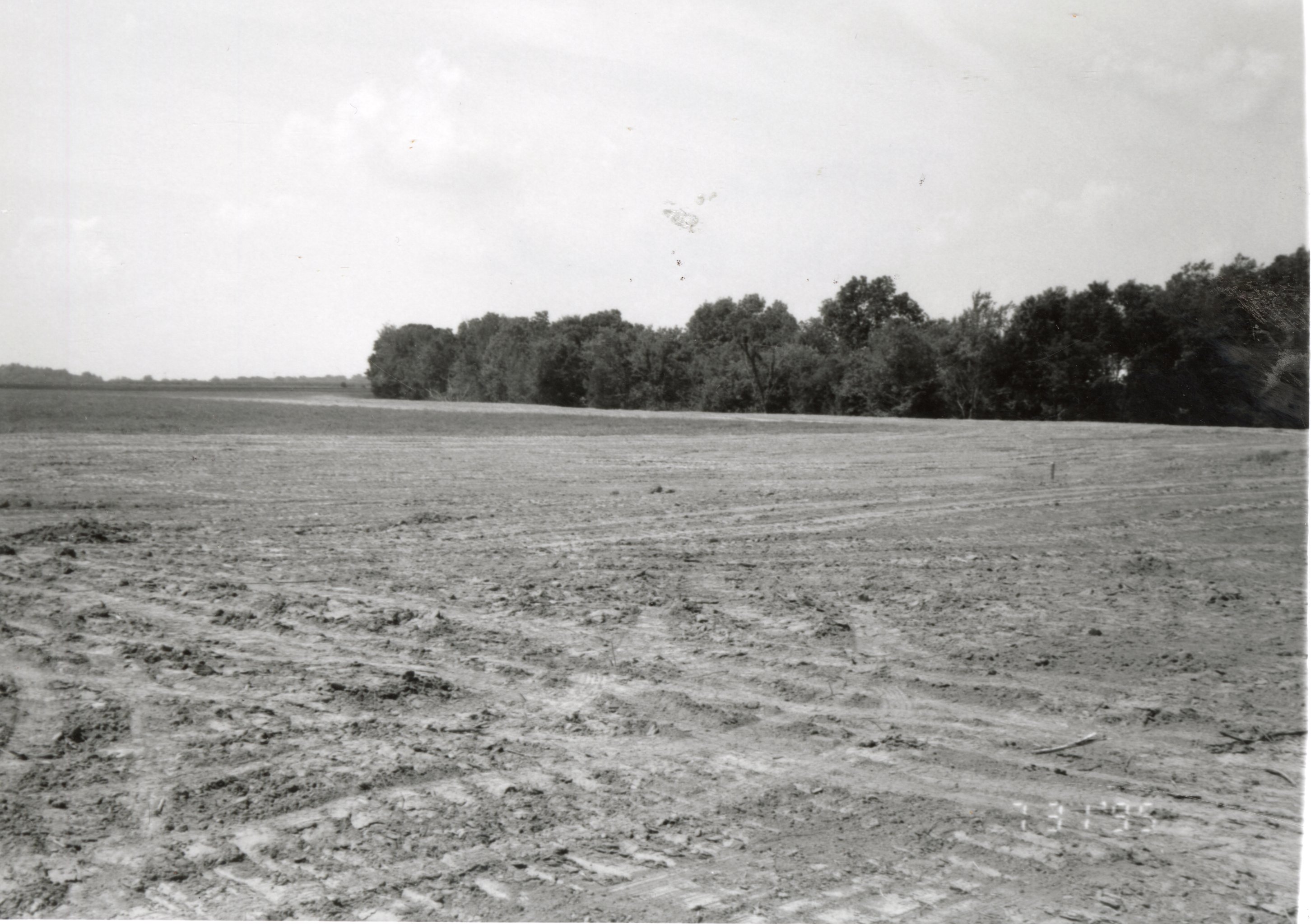 1995  More Terraces built on Dale Edmonds Farm