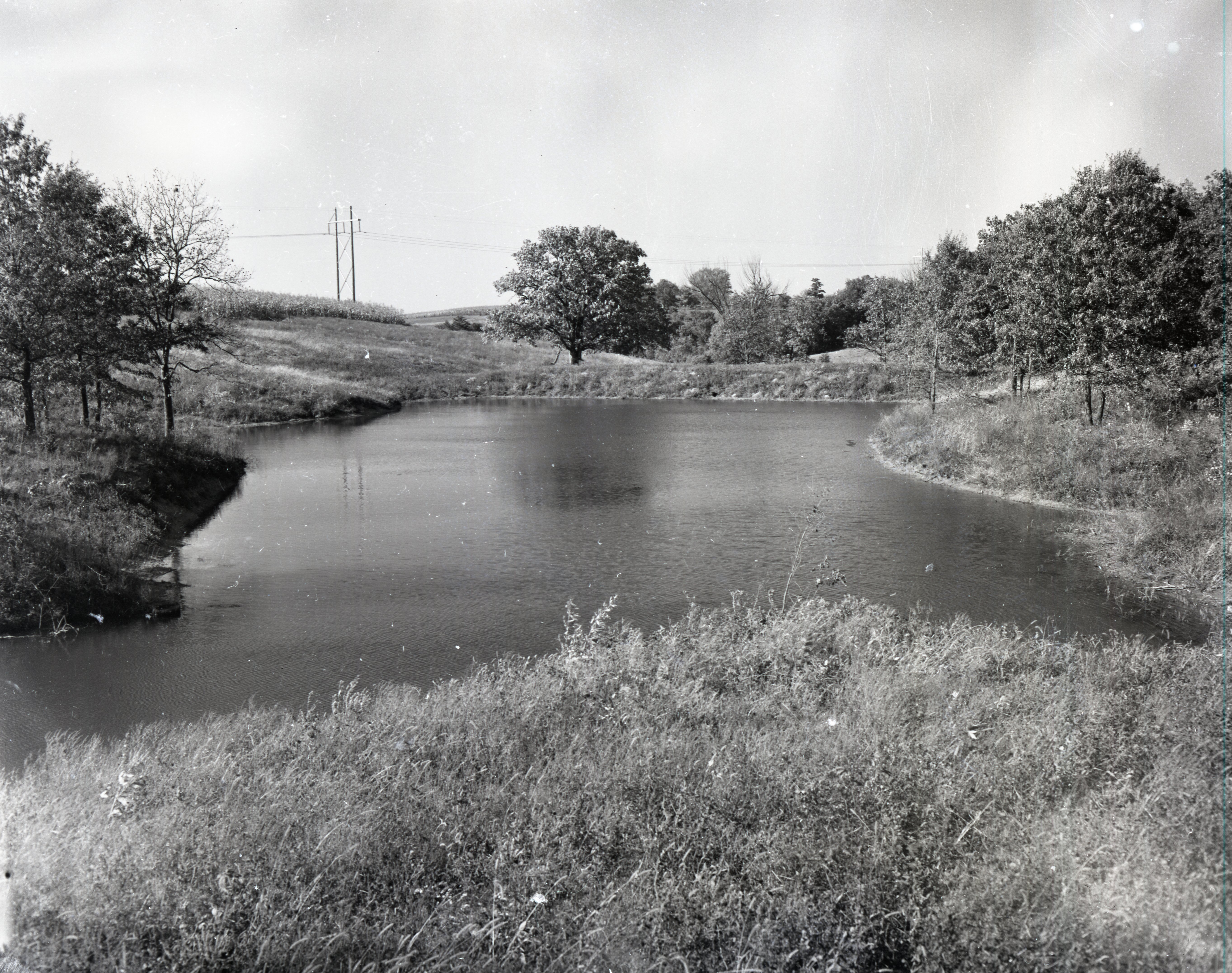 1963 - Pond surrounded by trees and water