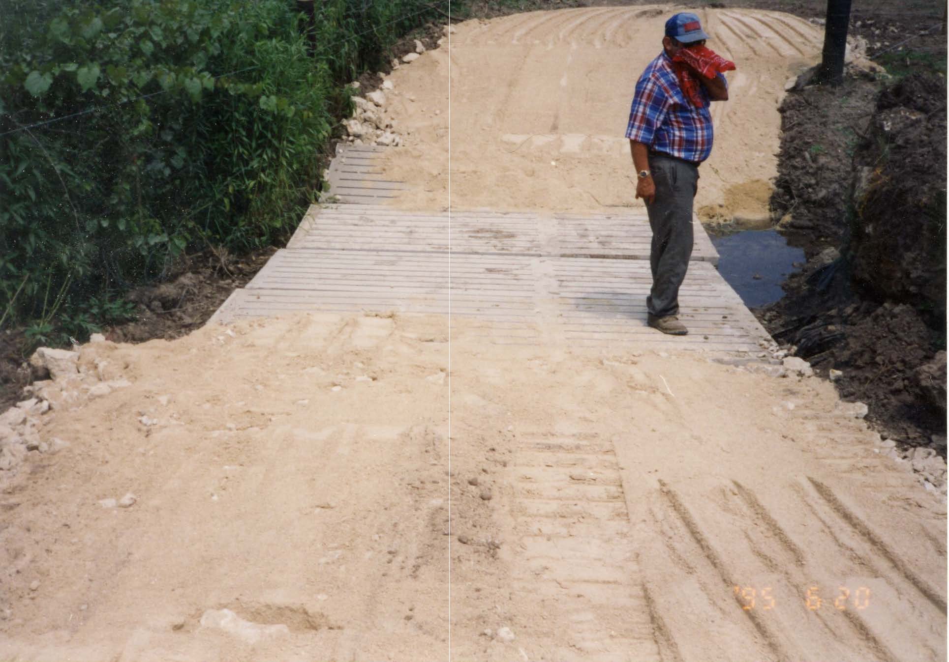 Cattle crossing, 1995