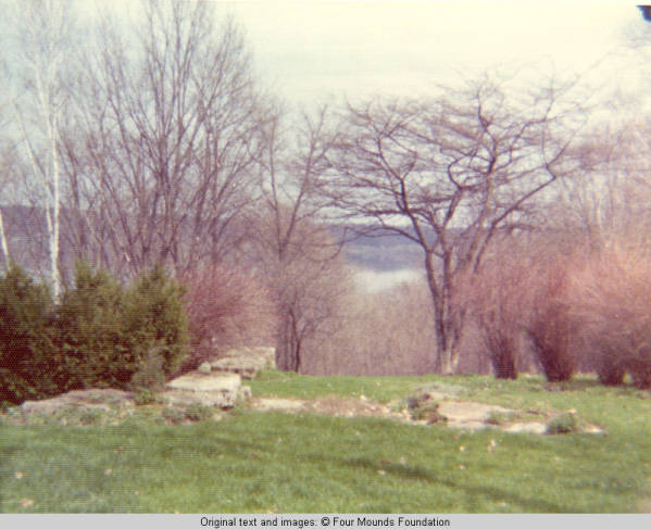 Rock garden in the Spring