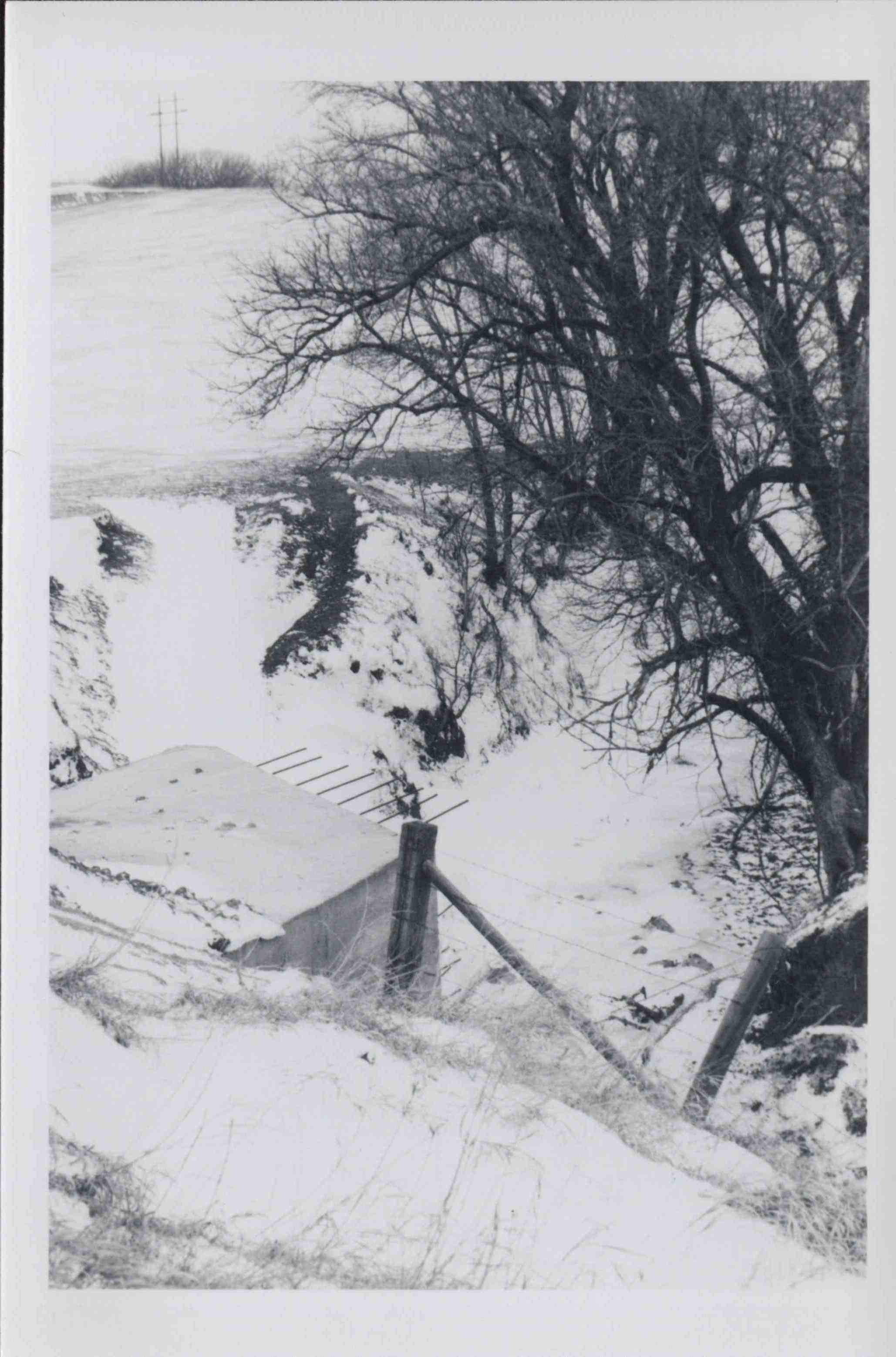 Unidentified snowy landscape in Plymouth County, Iowa