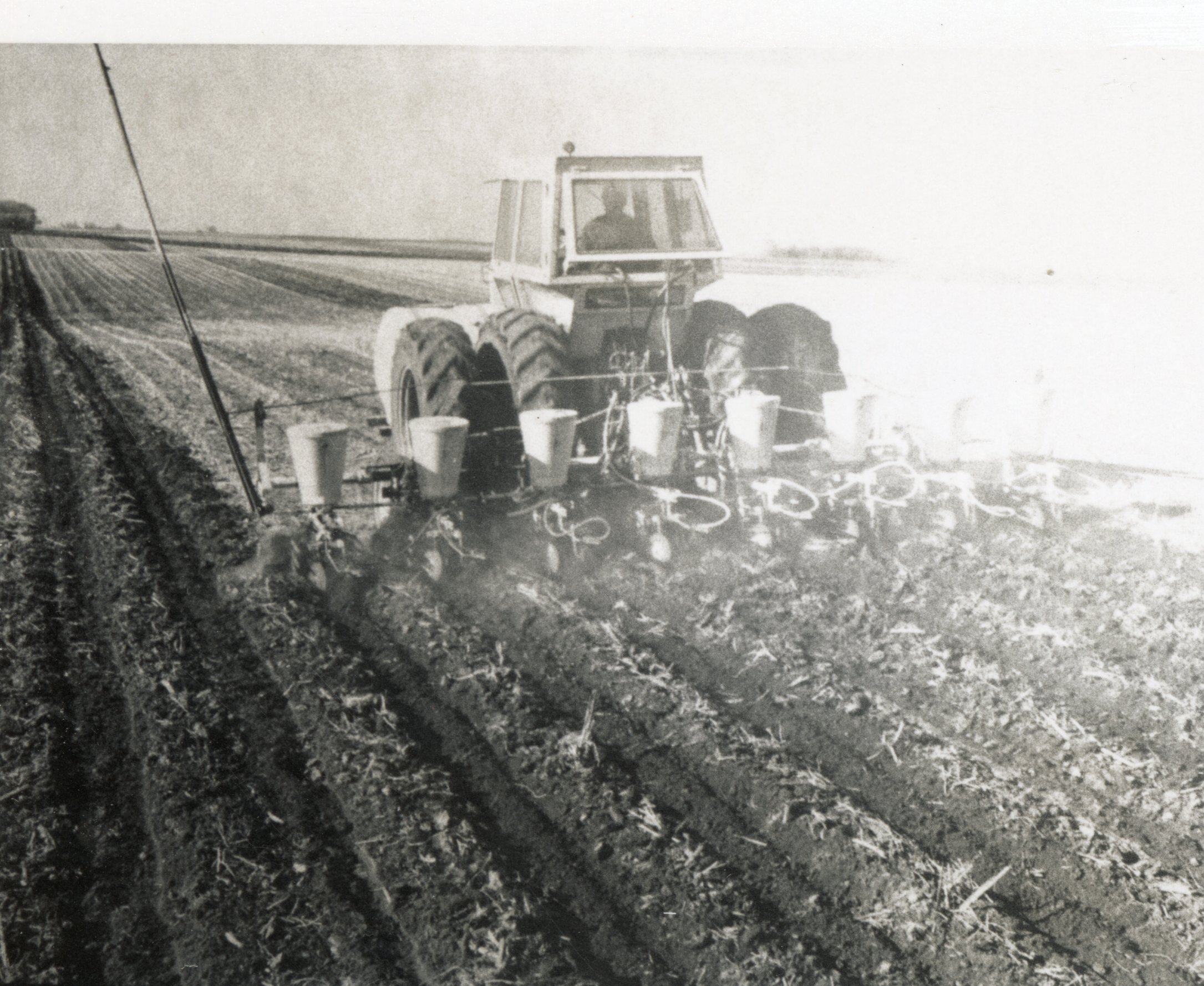 Planting seeds