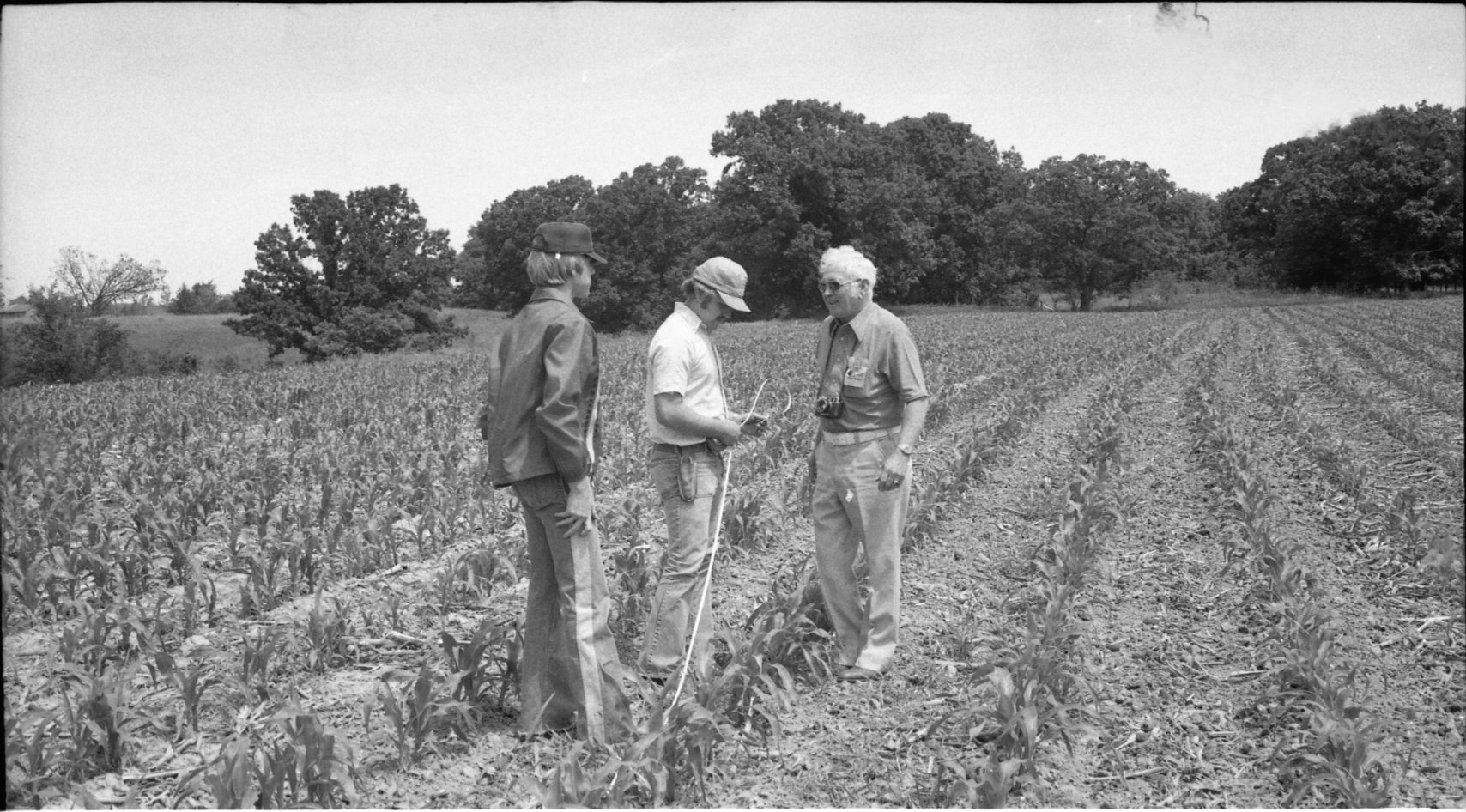 1978 Doug Cling, Ed Nelson and another man in field