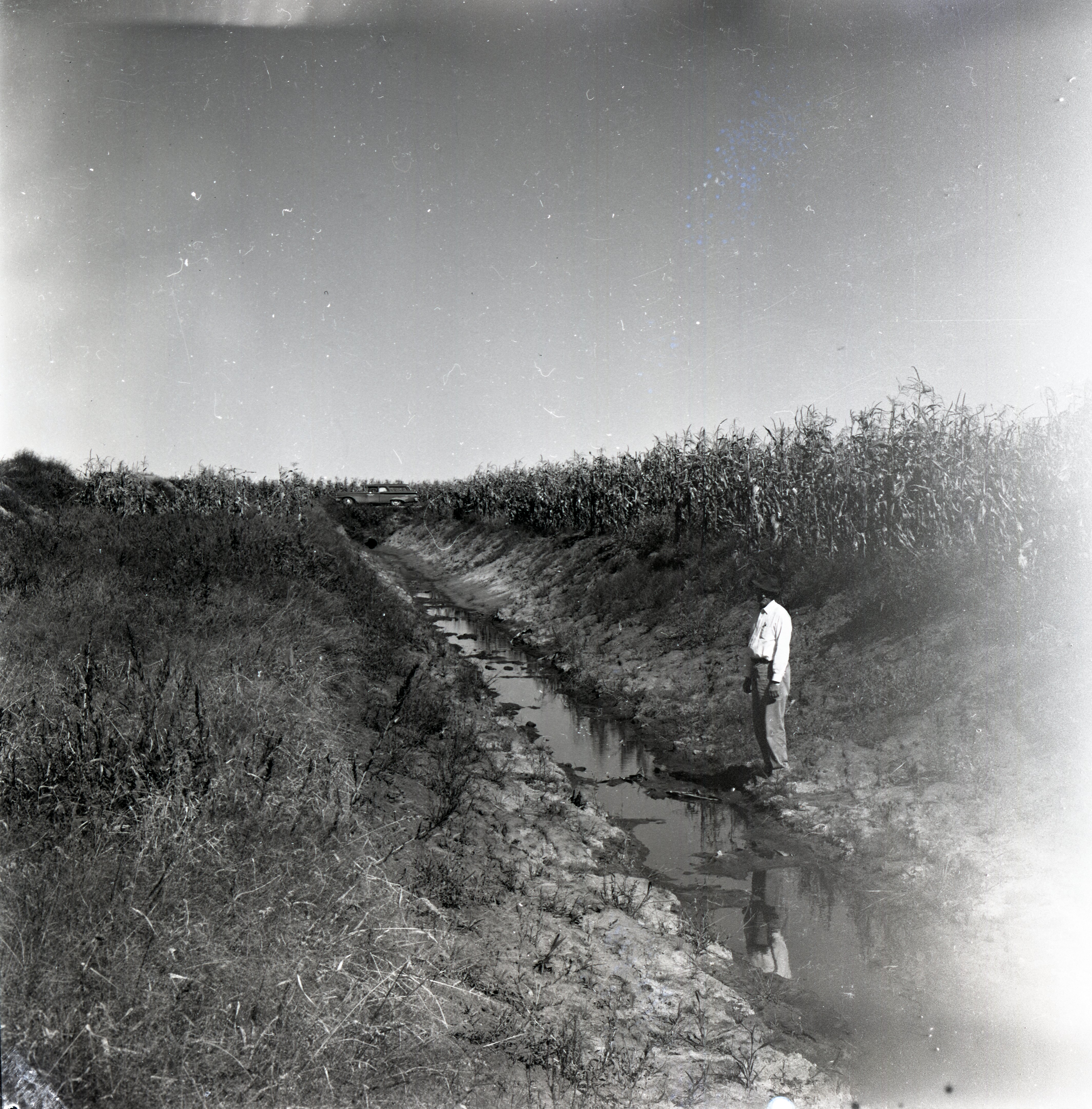 Man stands by water ditch near cornfield