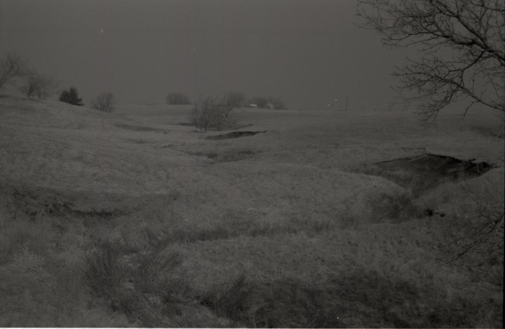 Hilly grass field