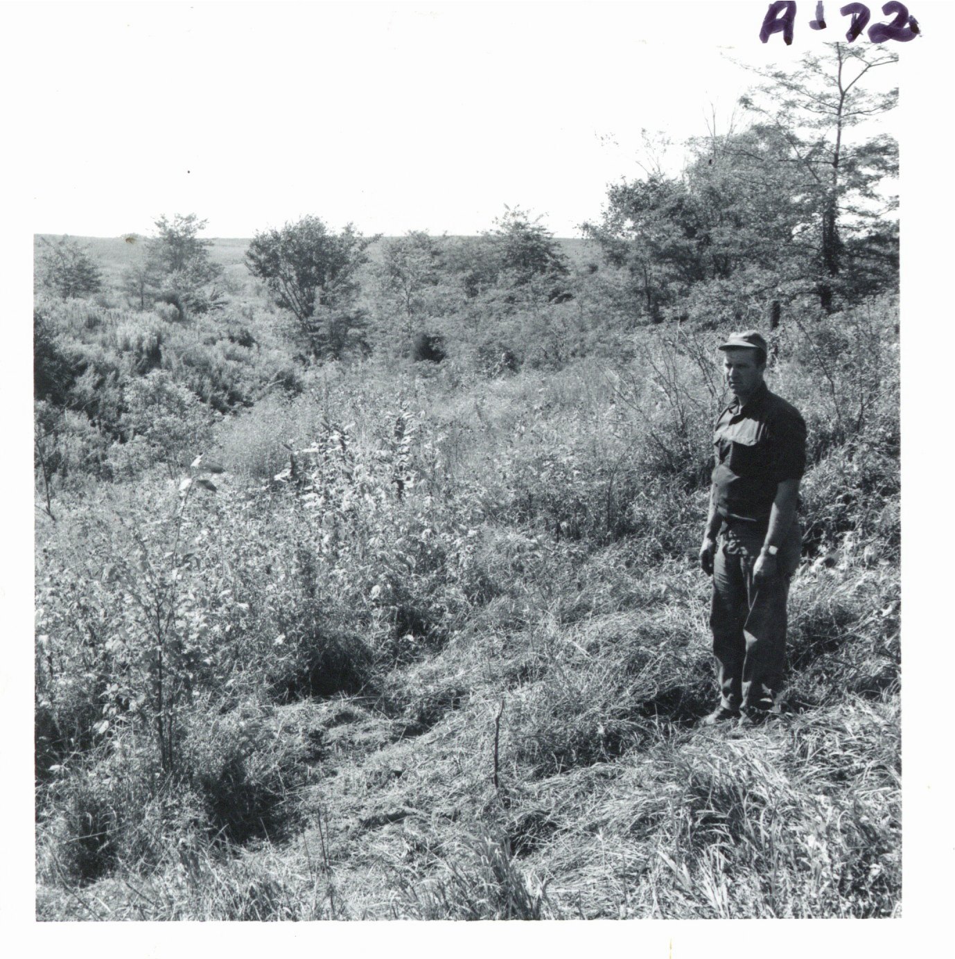 Ray Stillmunkes touring gully before conservation construction, 1969