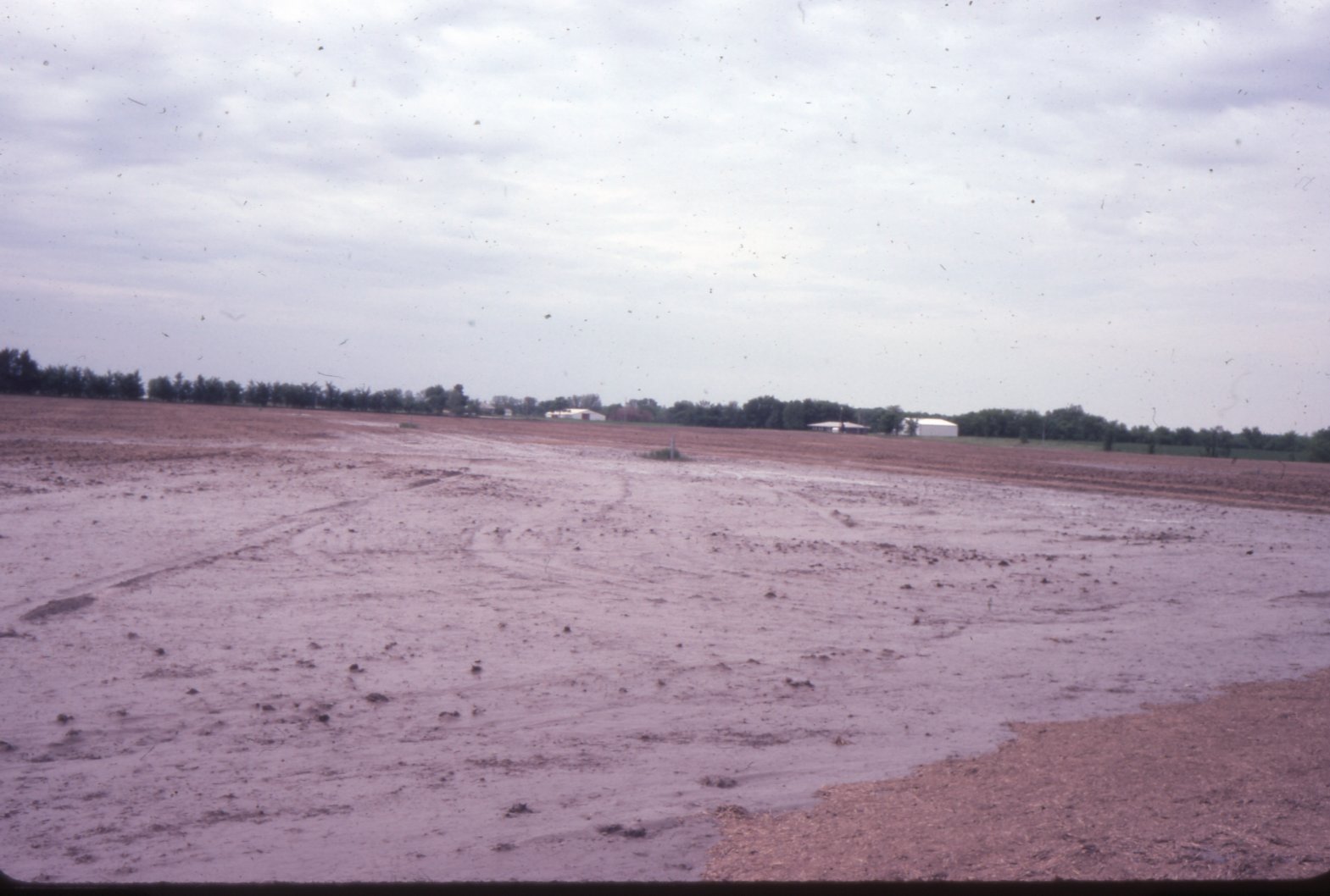 Standing water in brown field 