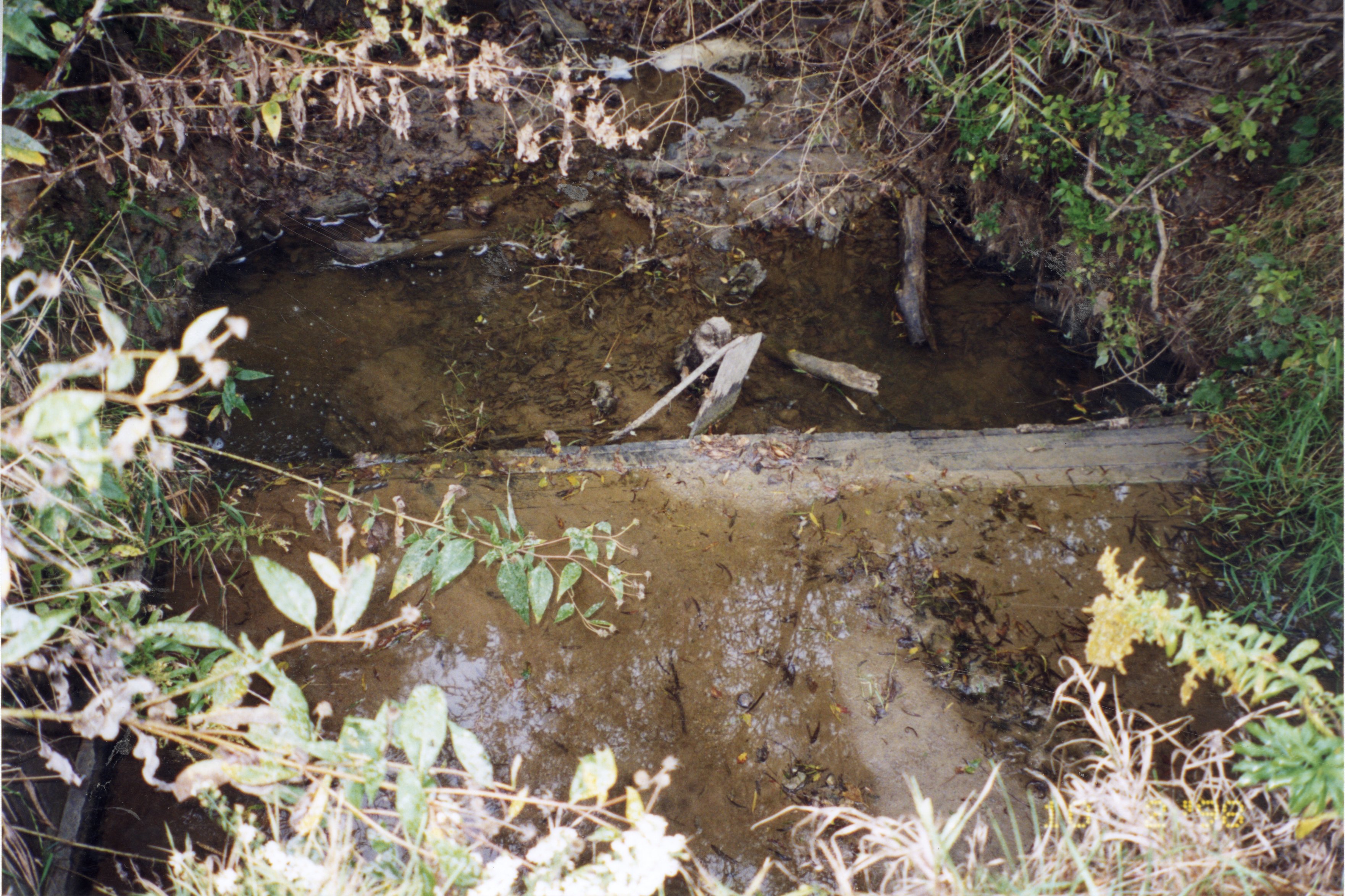 1999  Weir in feeder creek under gravel road