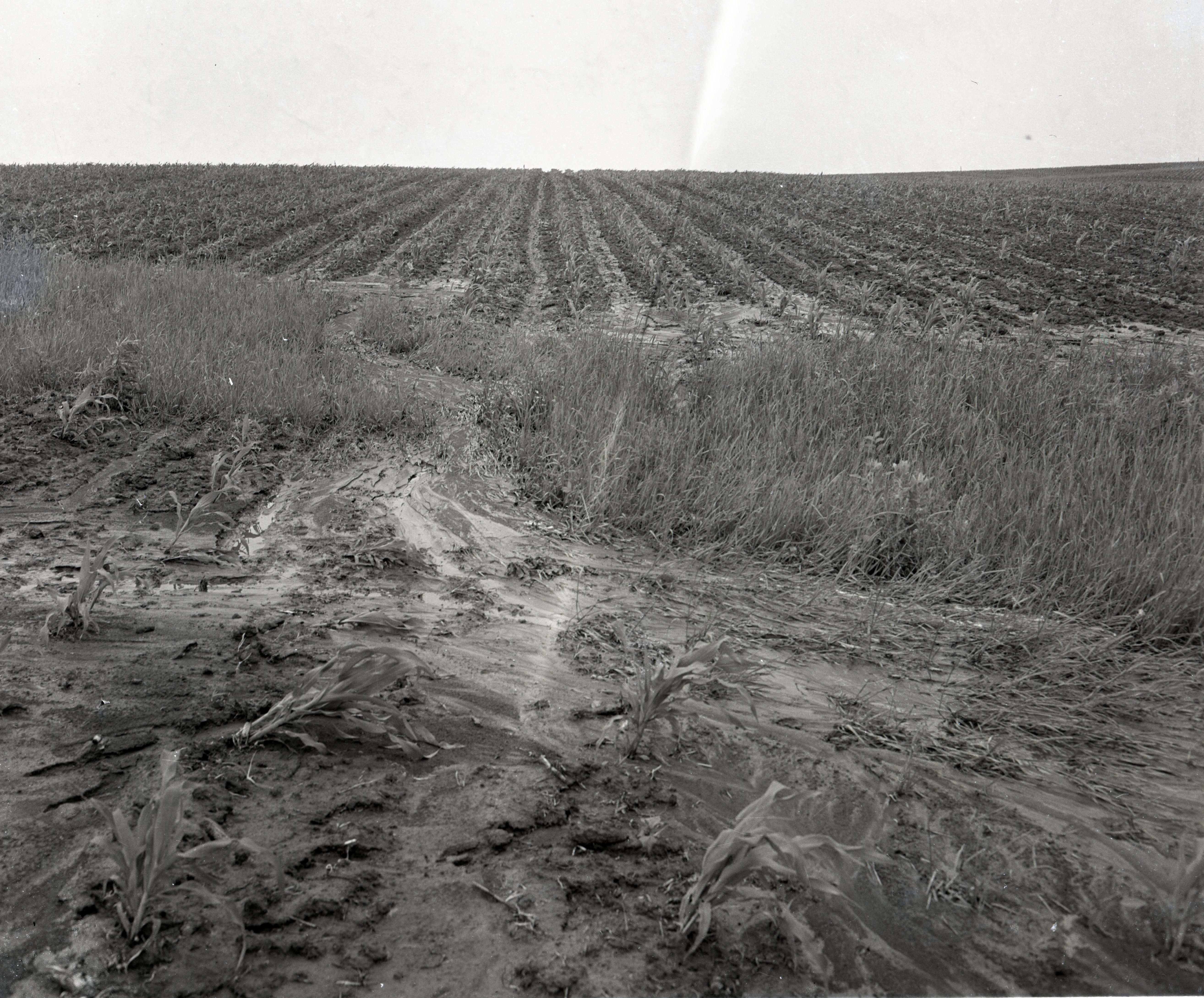 Erosion in a Field
