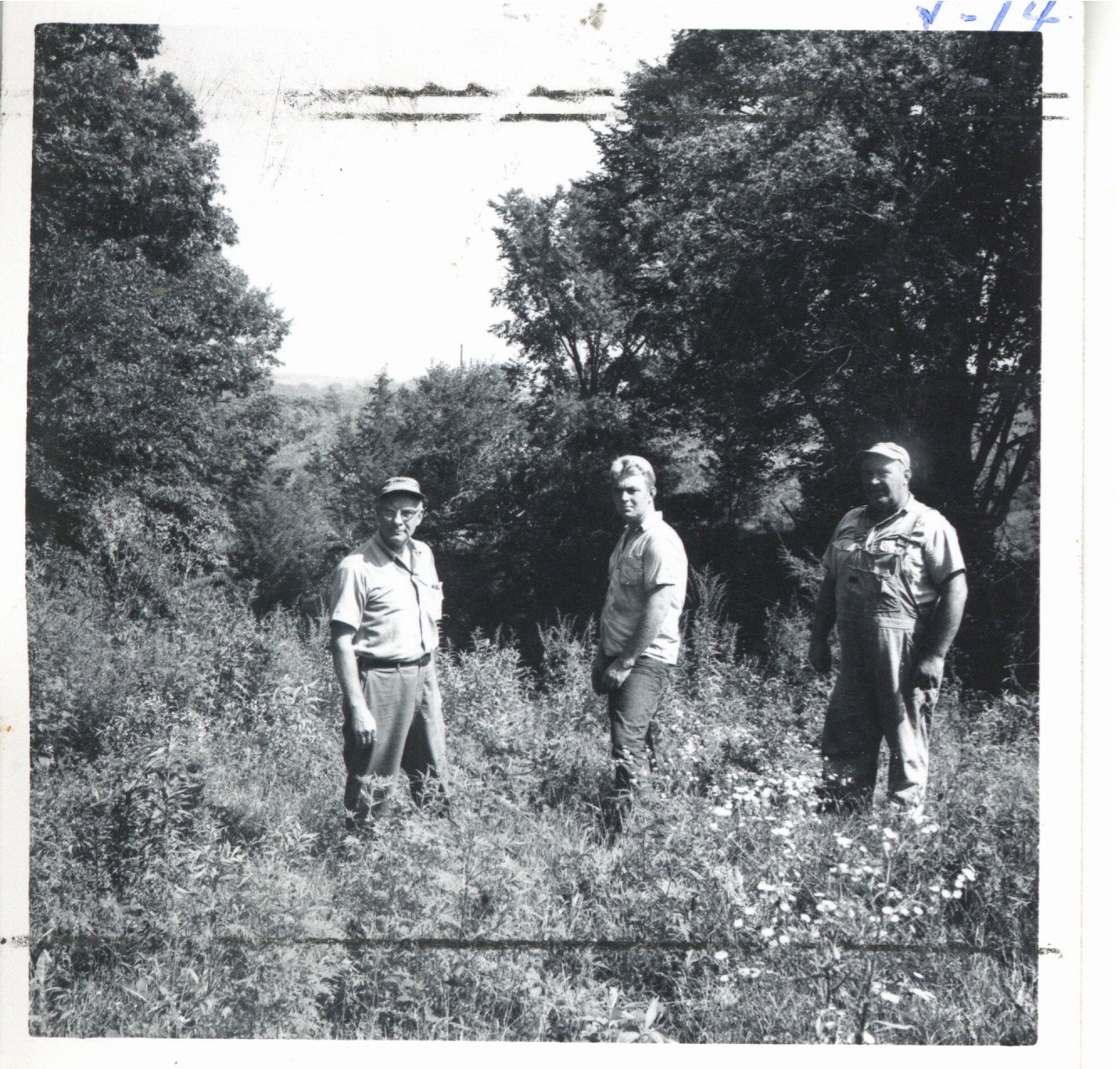 Edward Rubel land before wildlife pond construction, 1963