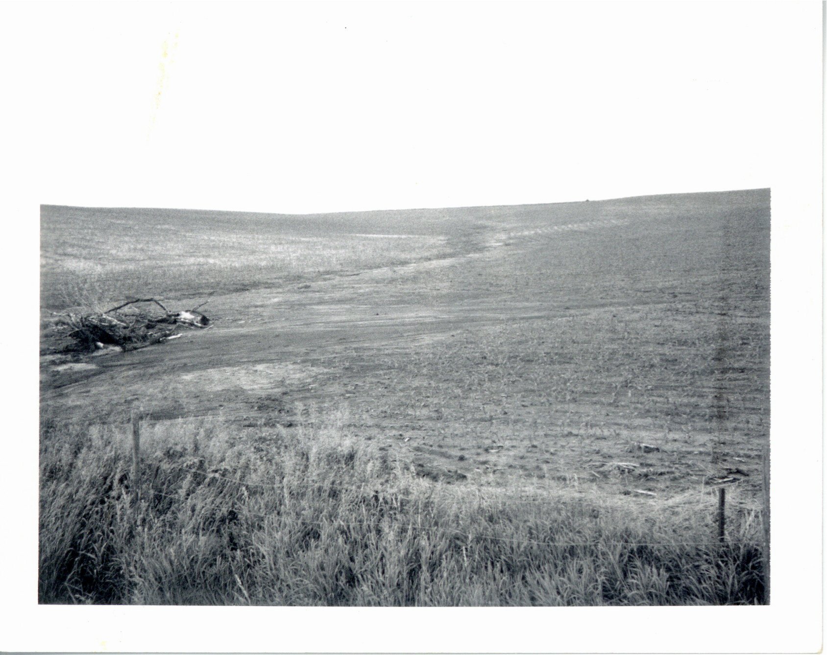 Haskey farmland