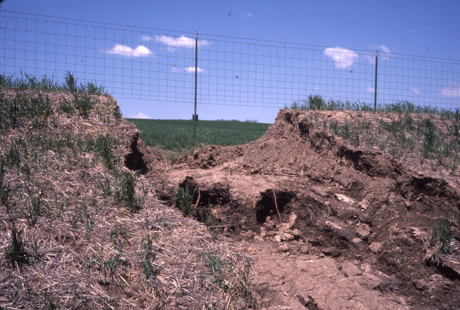 Soil erosion 