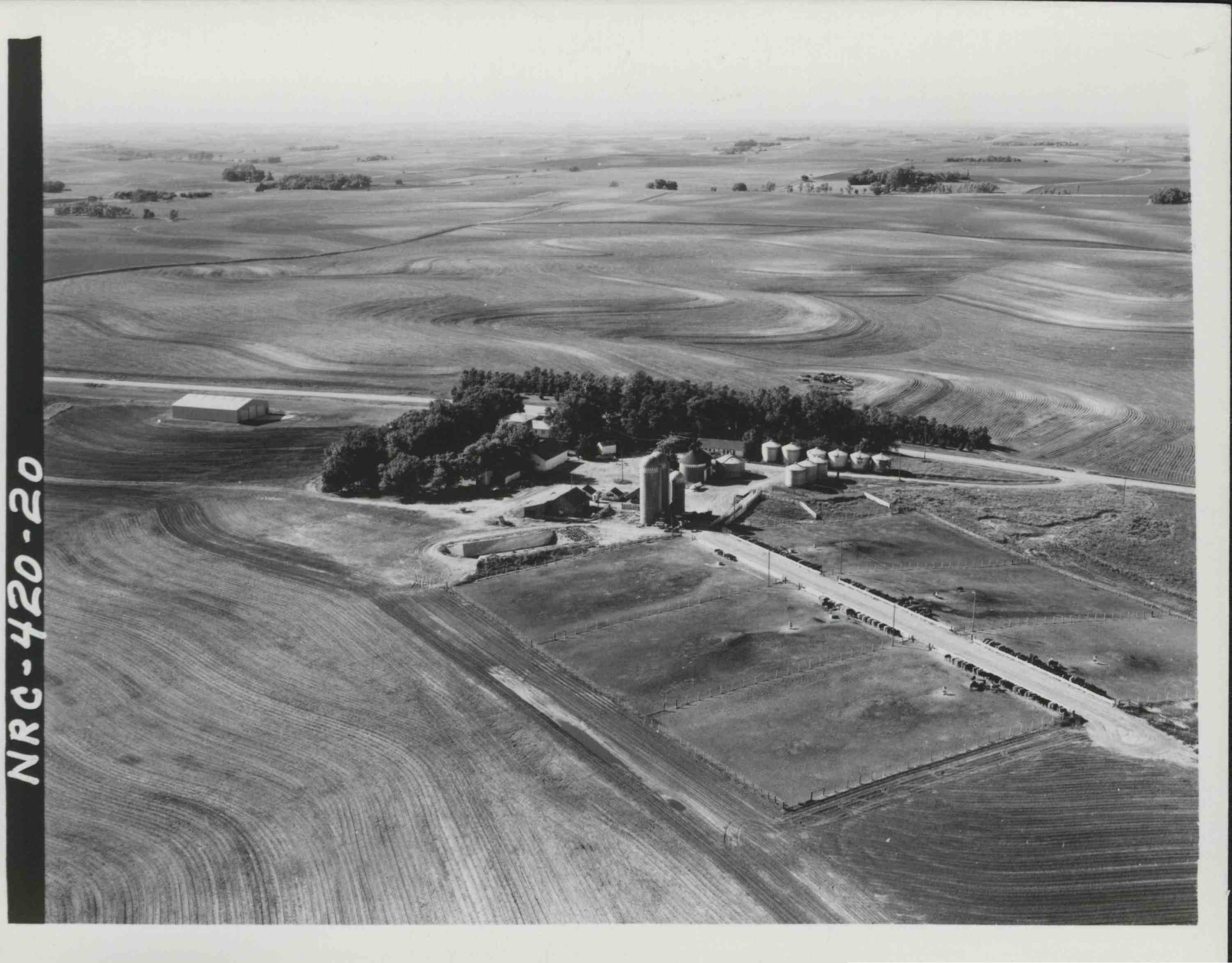 Feedlot on Kenny Farm in Akron, Iowa, Westfield Towenship, Plymouth County, Iowa