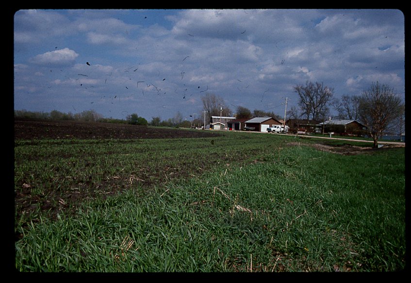 Filter Strip on Gary Johnson's Farm.