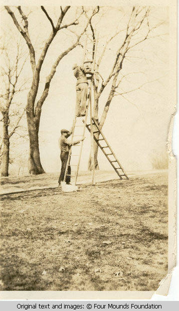 John trimming trees