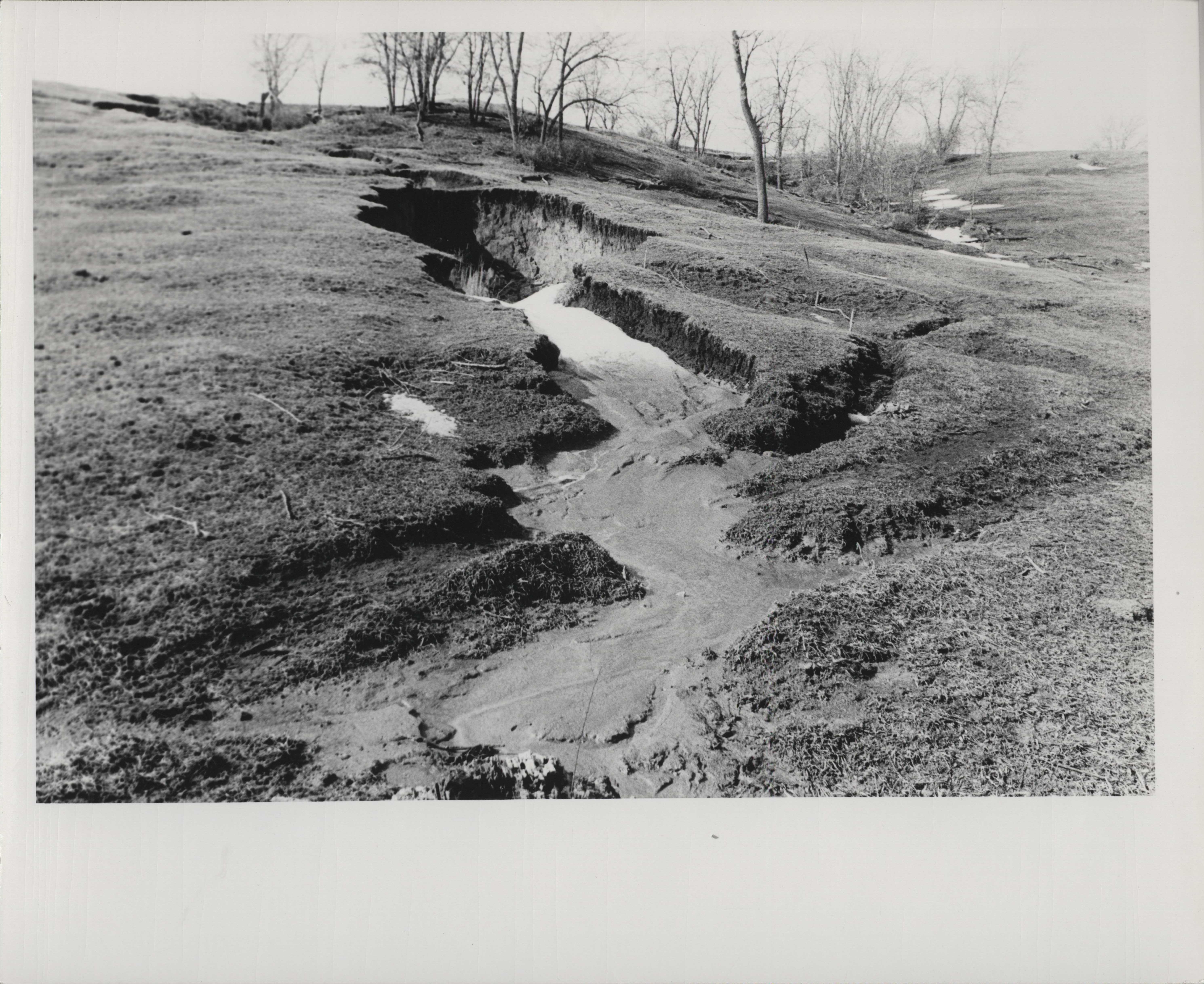 Gully erosion.