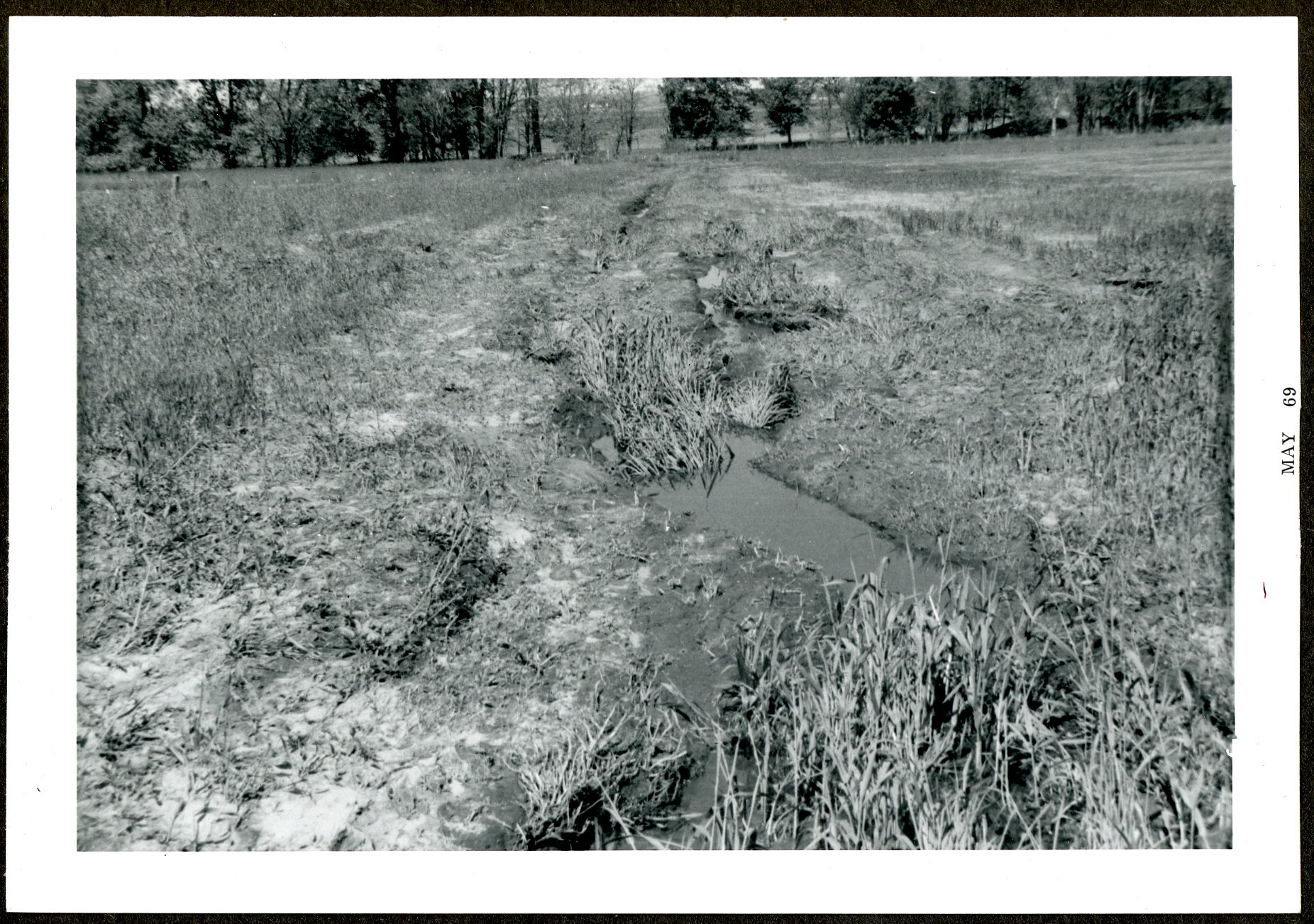 Lewis Newell Farm Waterway