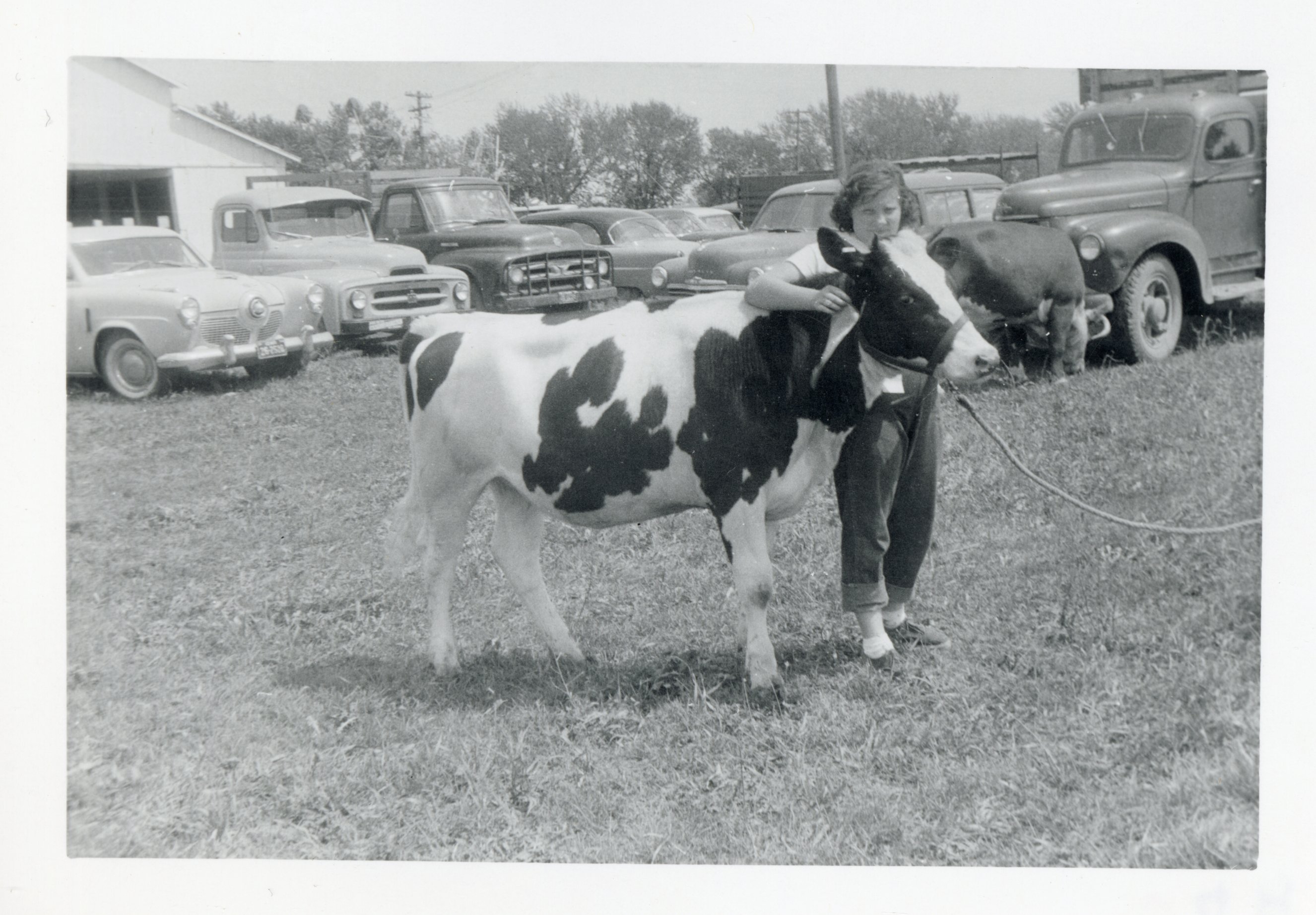 Girl with Cow