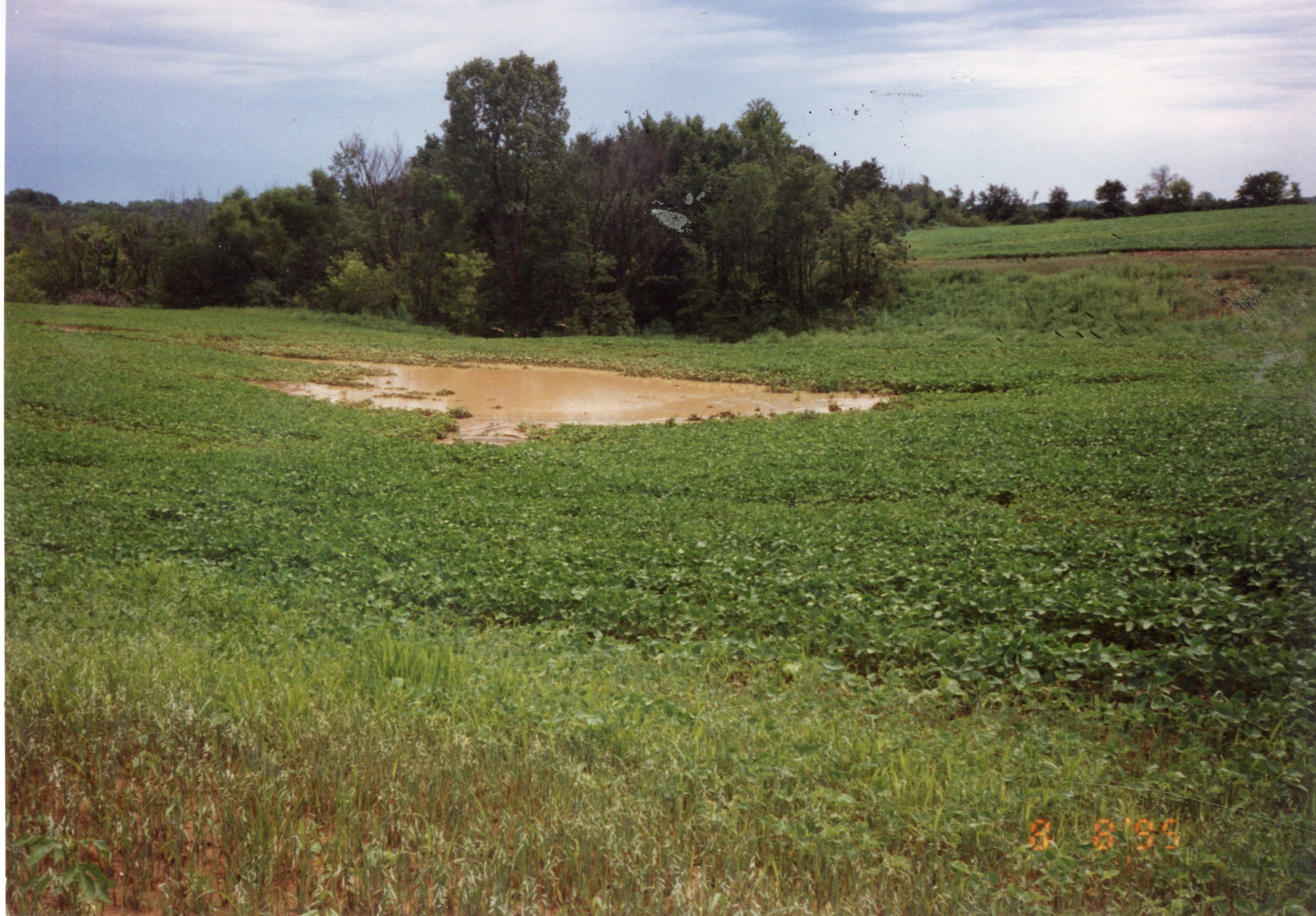 1995  Terraces on Bill Tucker's Farm