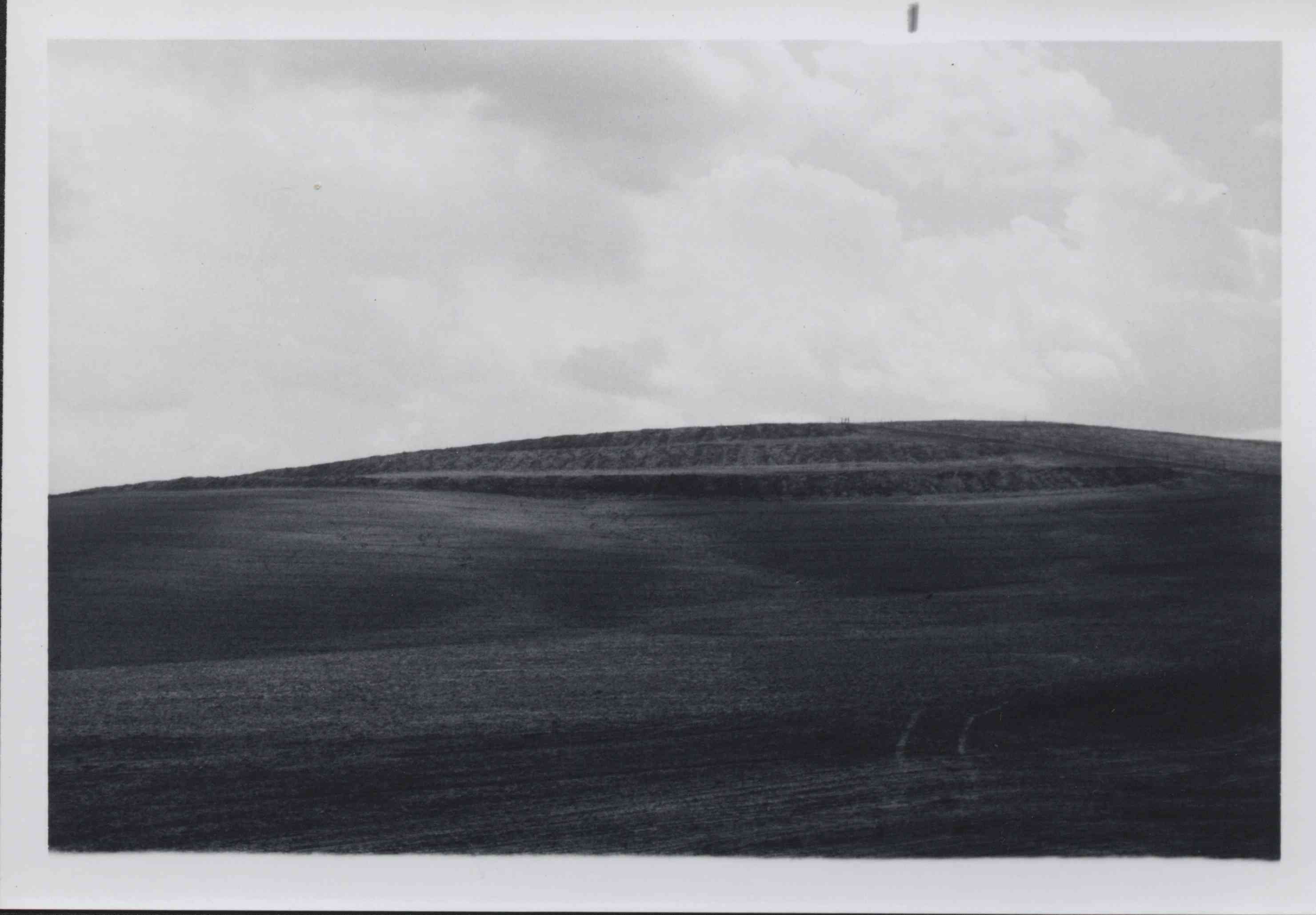 Ron Fischer parallet grassback terraces