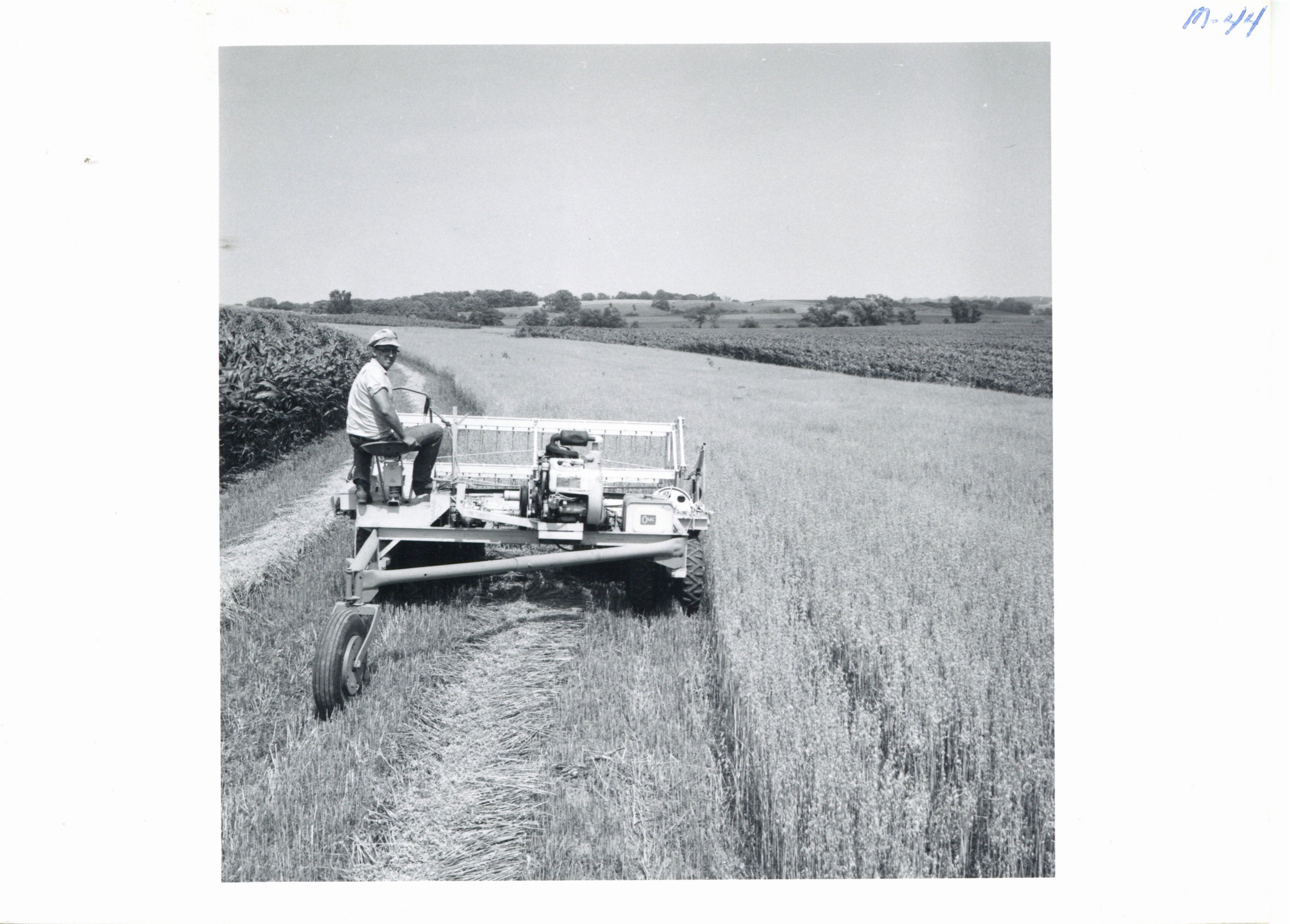 Daniel Jepsen windrowing oats 