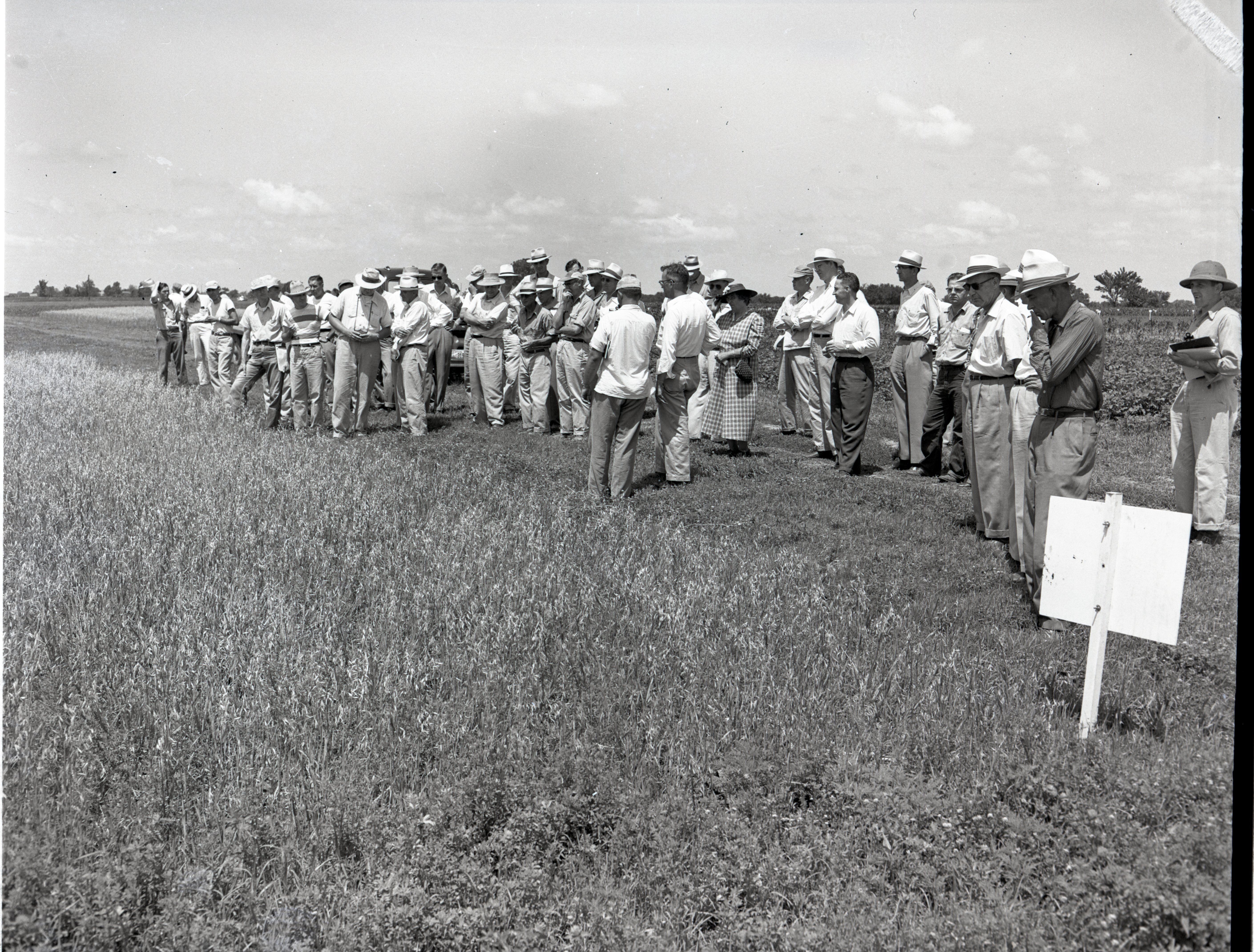 Large Tour Group Stands in Field