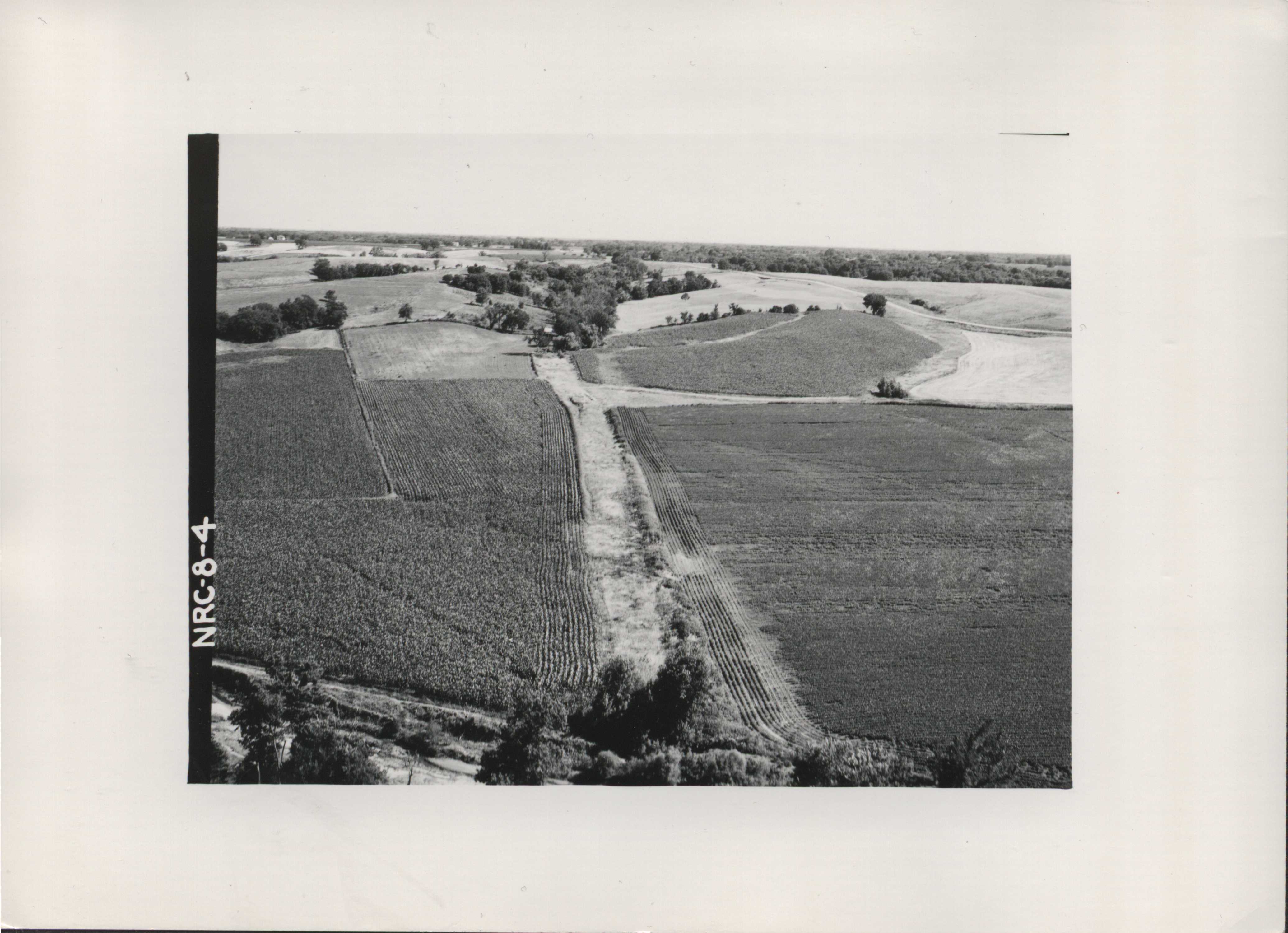 Reed canary grass waterway, 1965