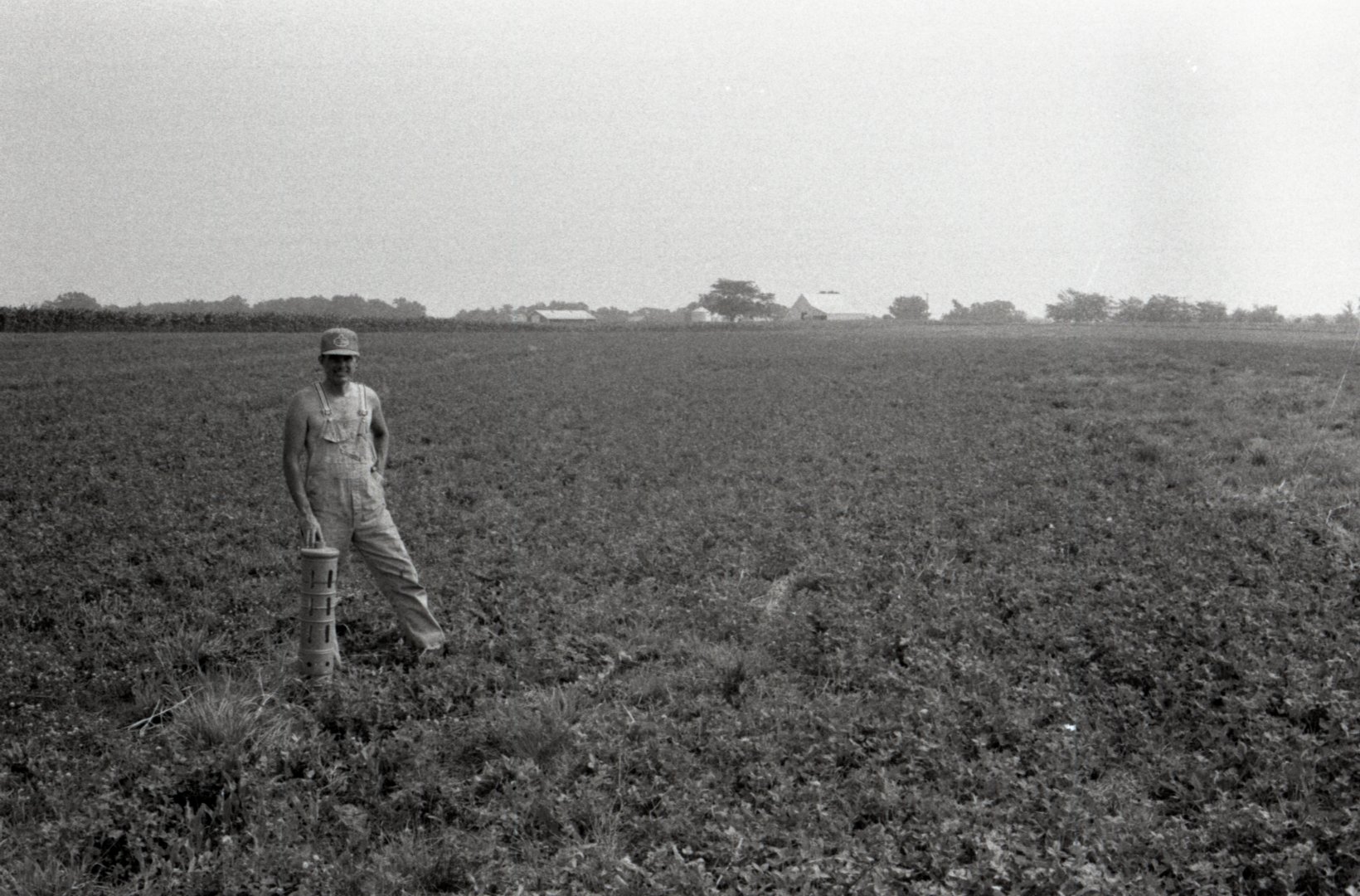Shirtless Man in Hat and Overalls Stands in Clover Field