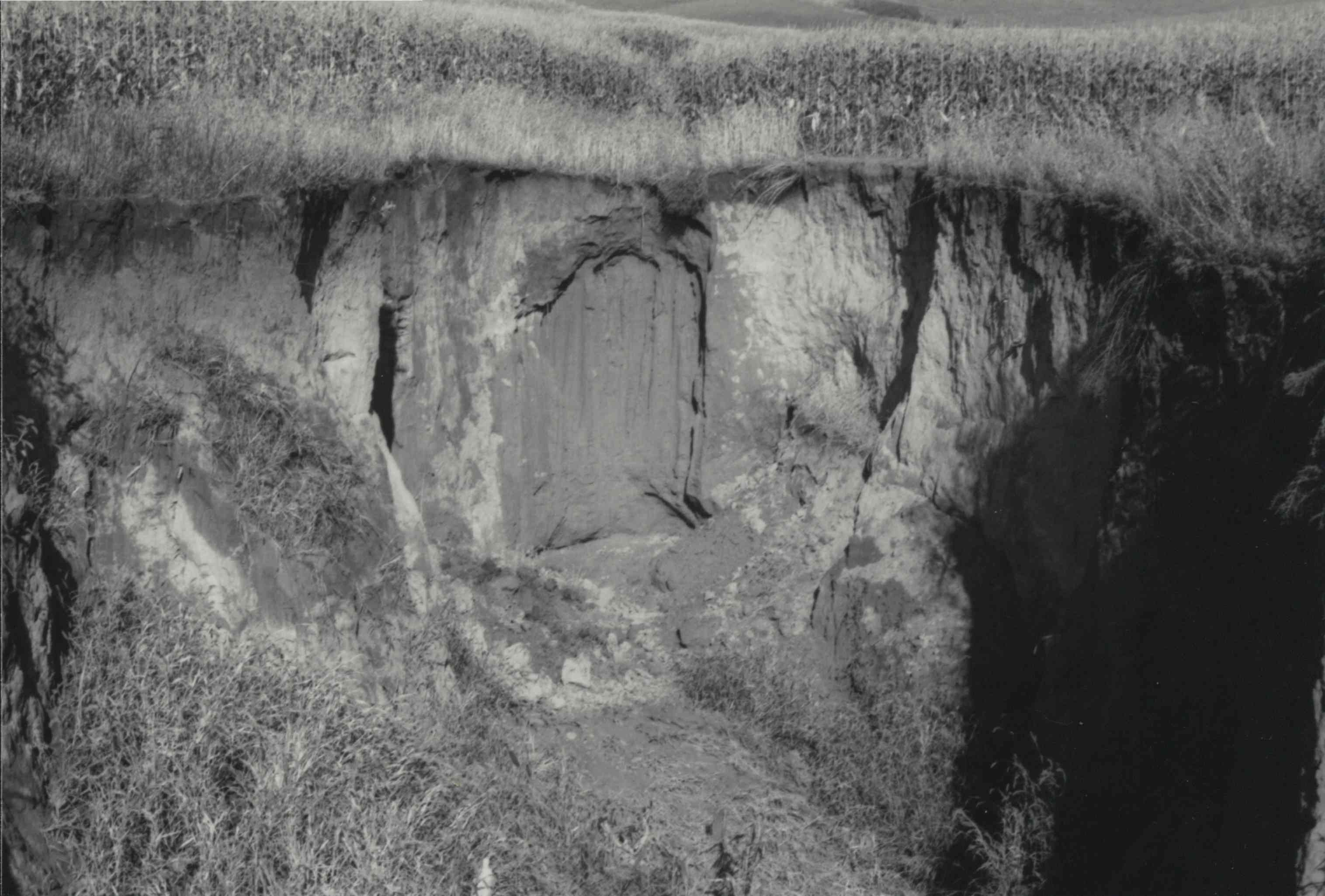 Another view of gully erosion on Don Graves property