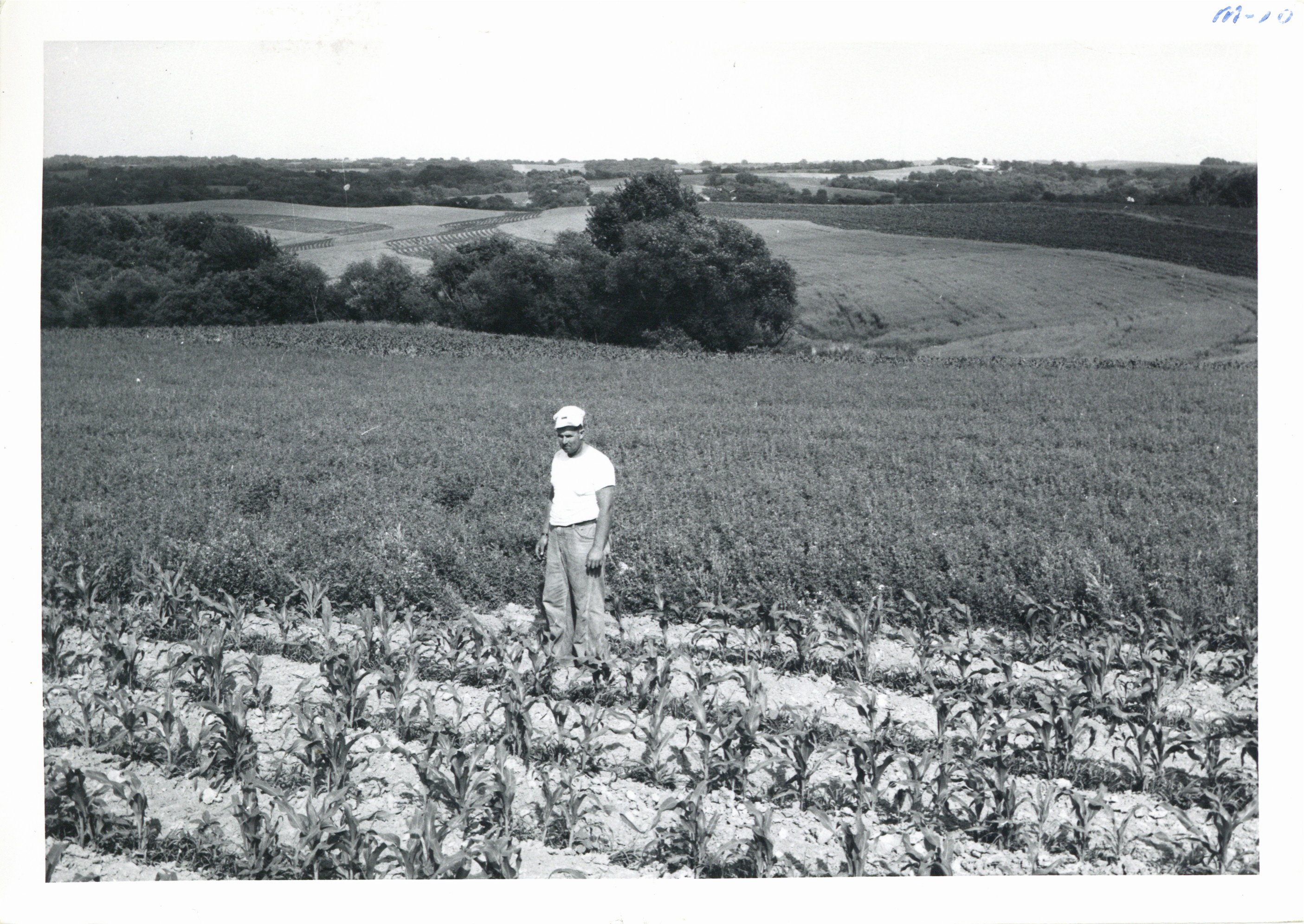 Kenneth Taplin farm, 1962
