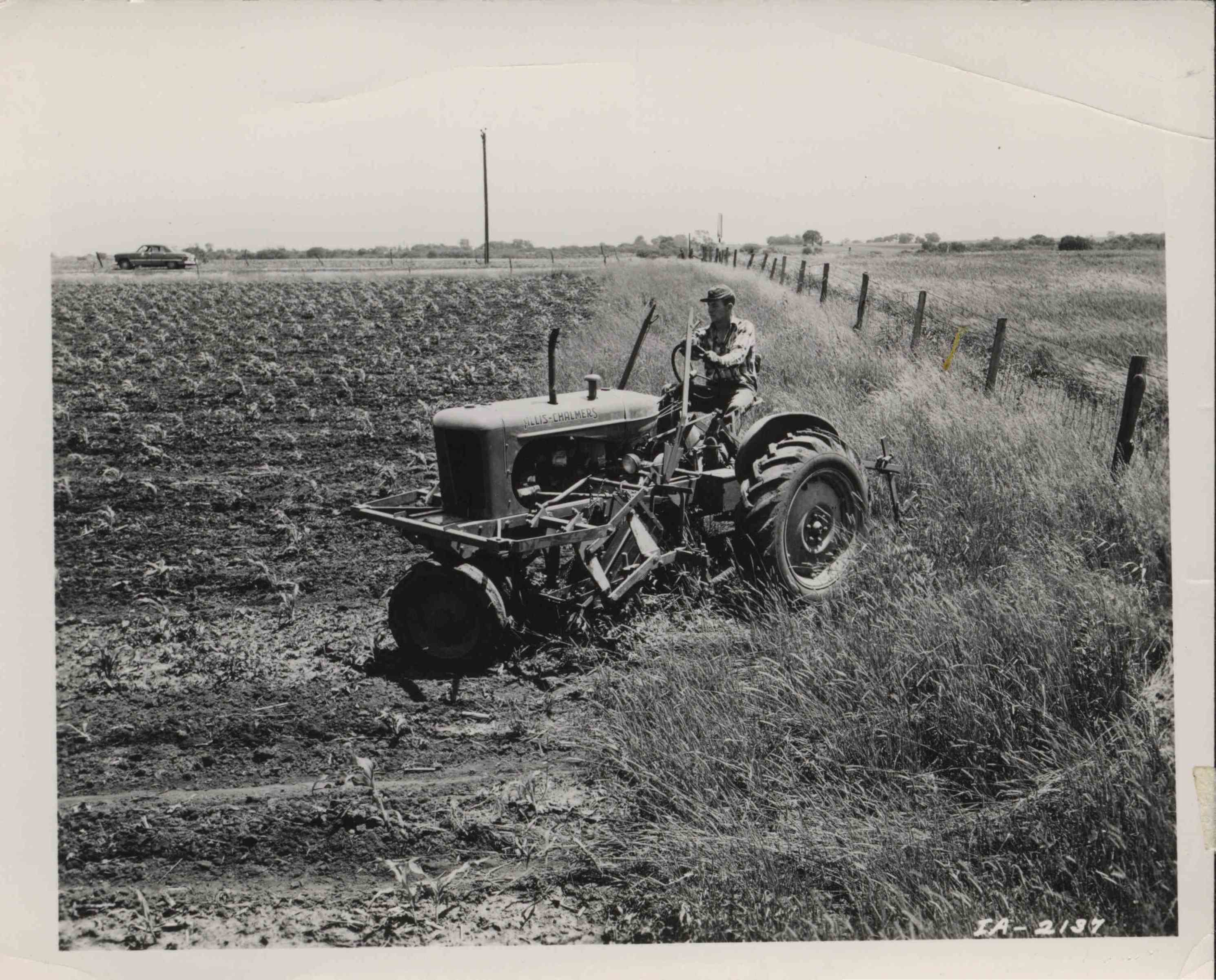 Turning tractor cultivates contour corn