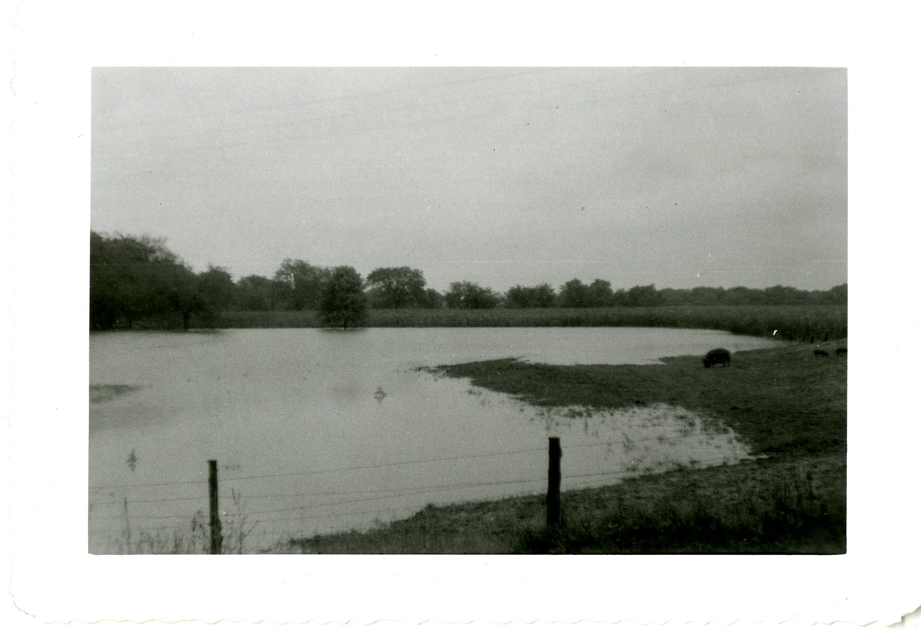 Back Water From Long Creek 