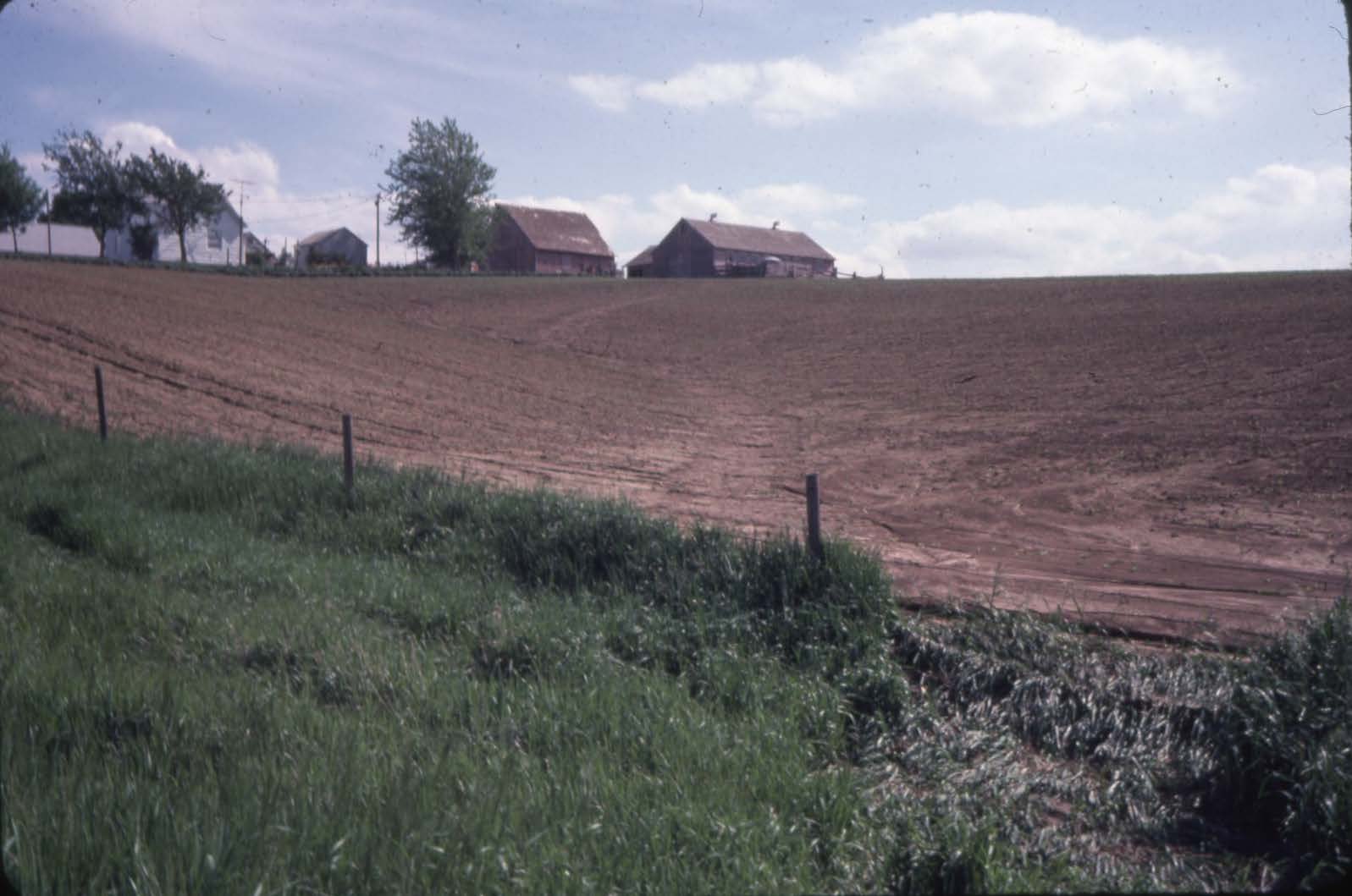 Schmidt farm