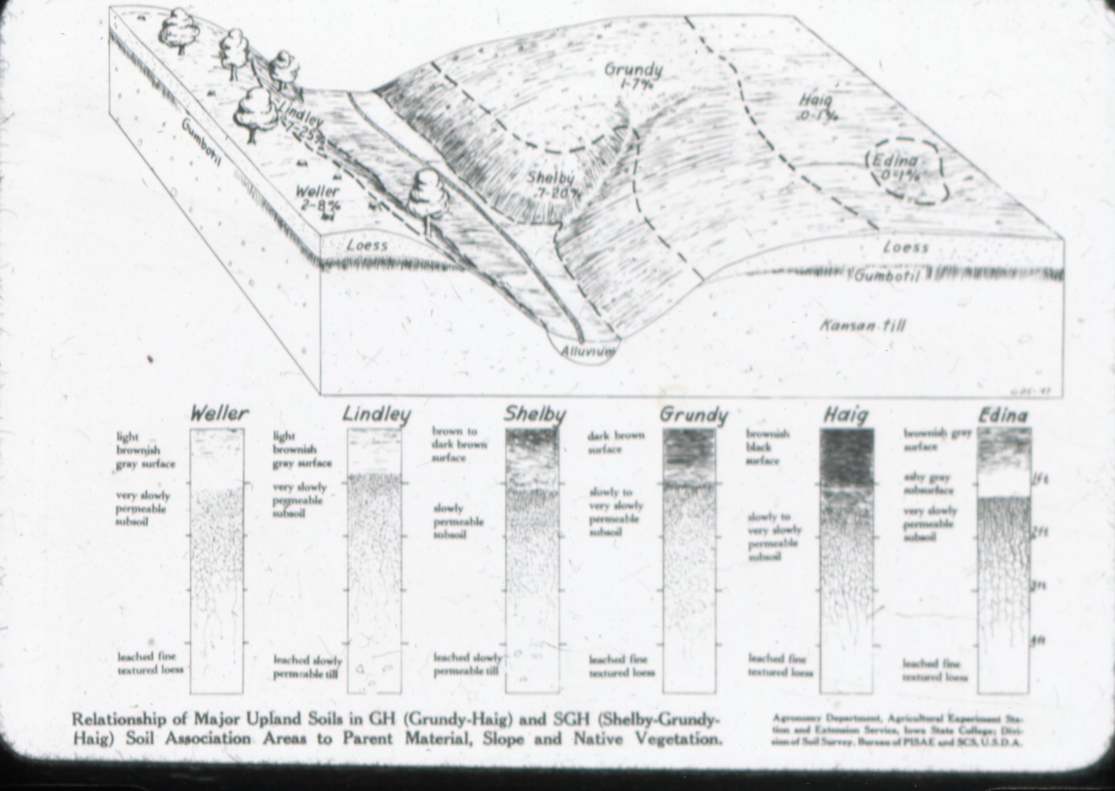 Upland Soil Chart