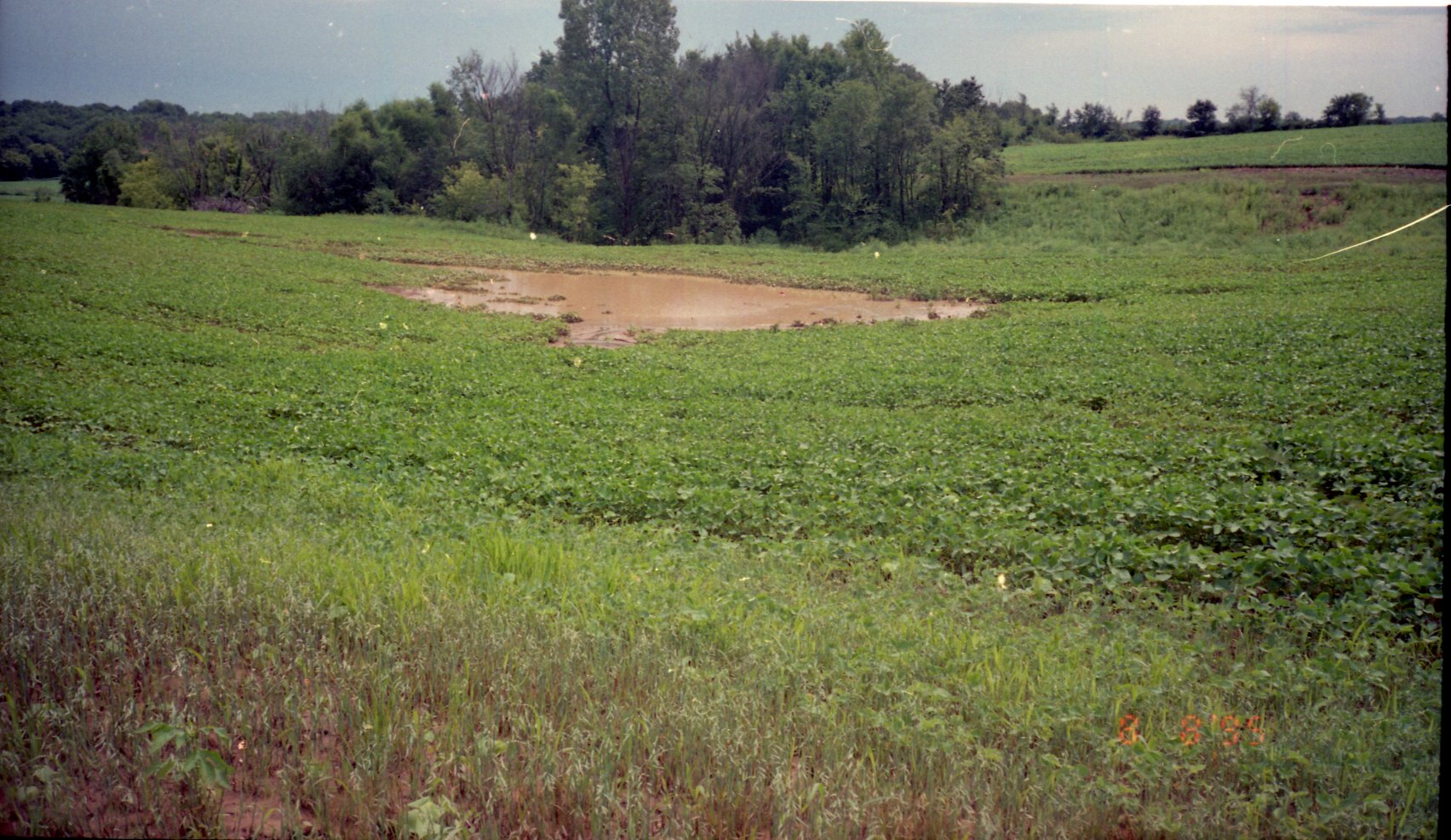 Water runoff drainage area in fields