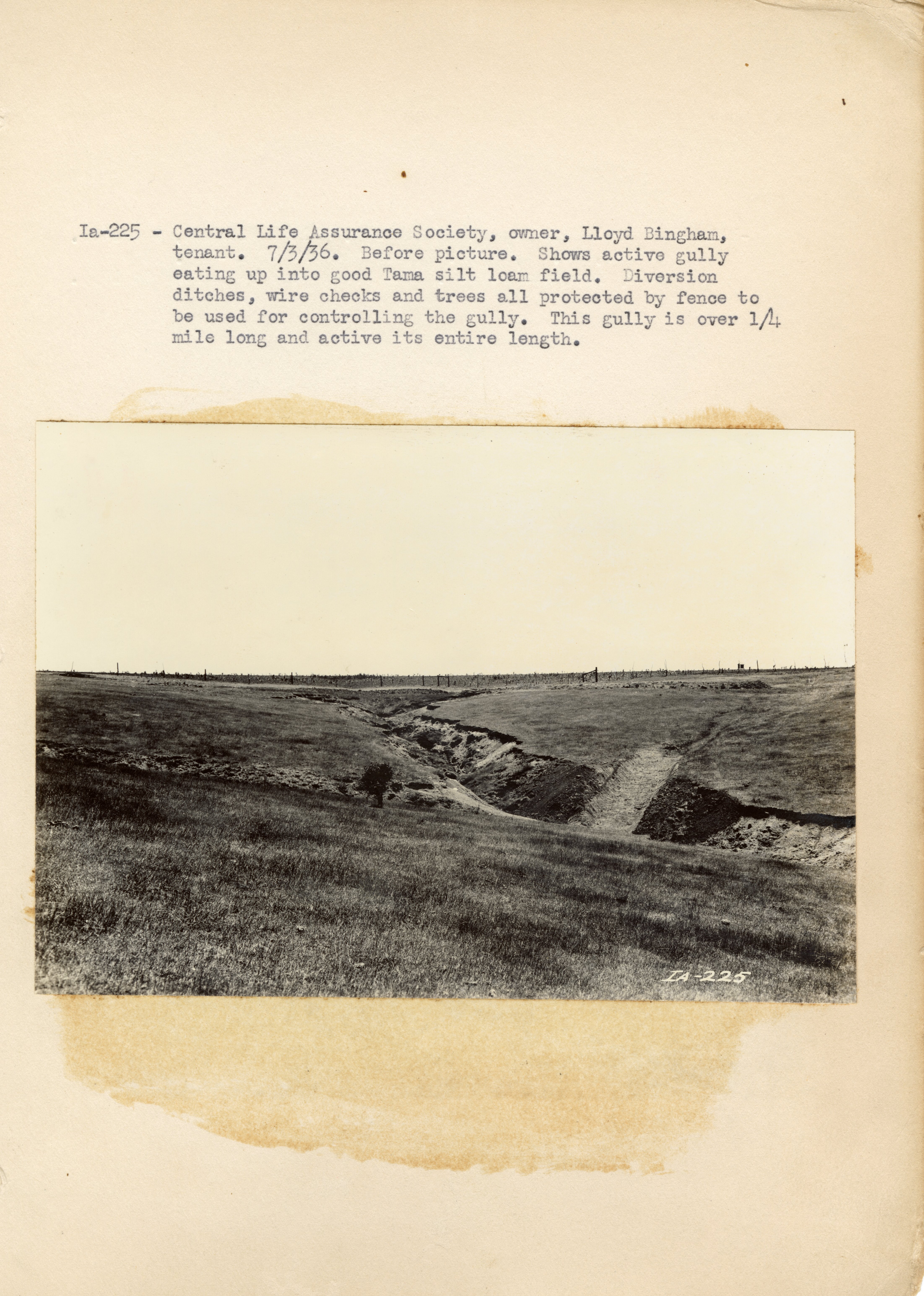 1934 - 1938 Multi-State Photograph Collection  
