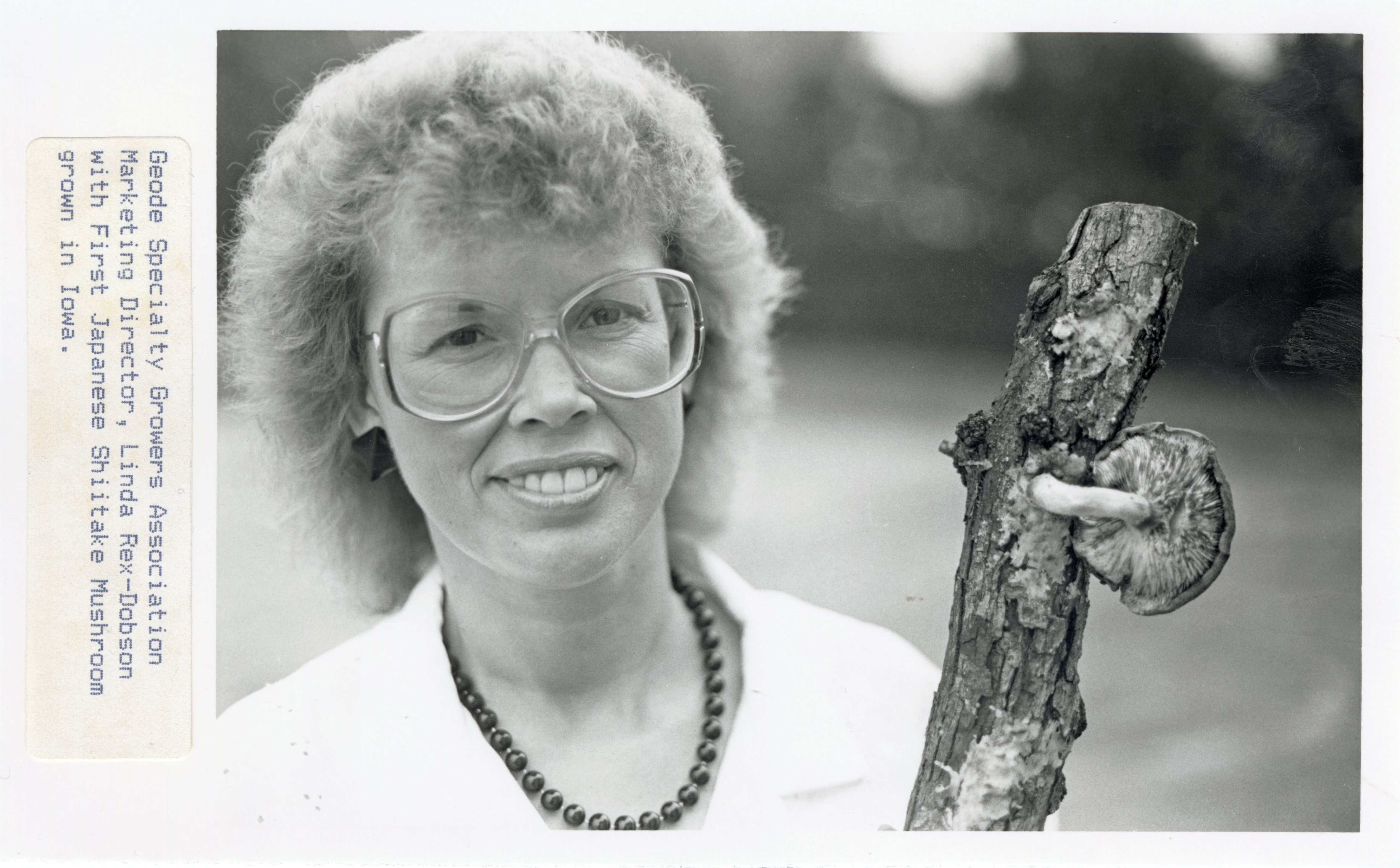 Linda Rex Dobson, Marketing Director